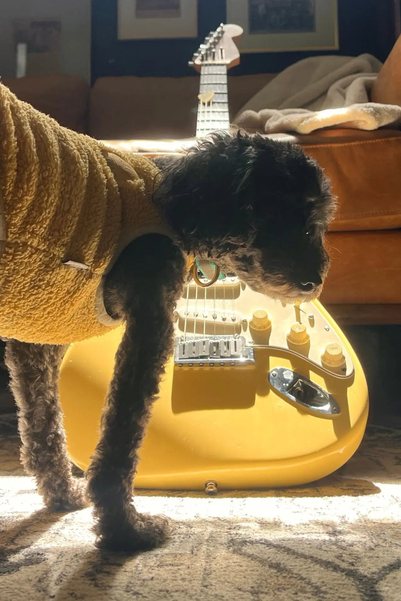 Постер до фільму "Yellow Guitar"