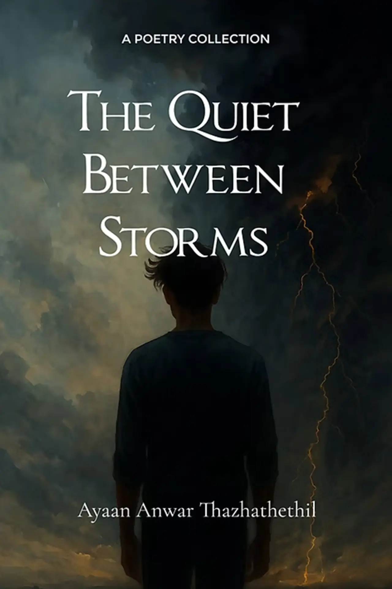 Постер до фільму "The Quiet Between Storms"