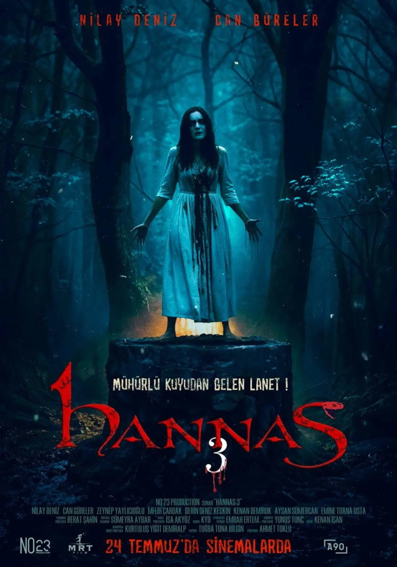 Постер до фільму "Hannas 3"