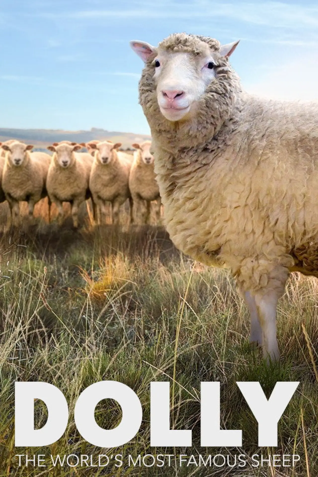 Постер до фільму "Dolly: The World