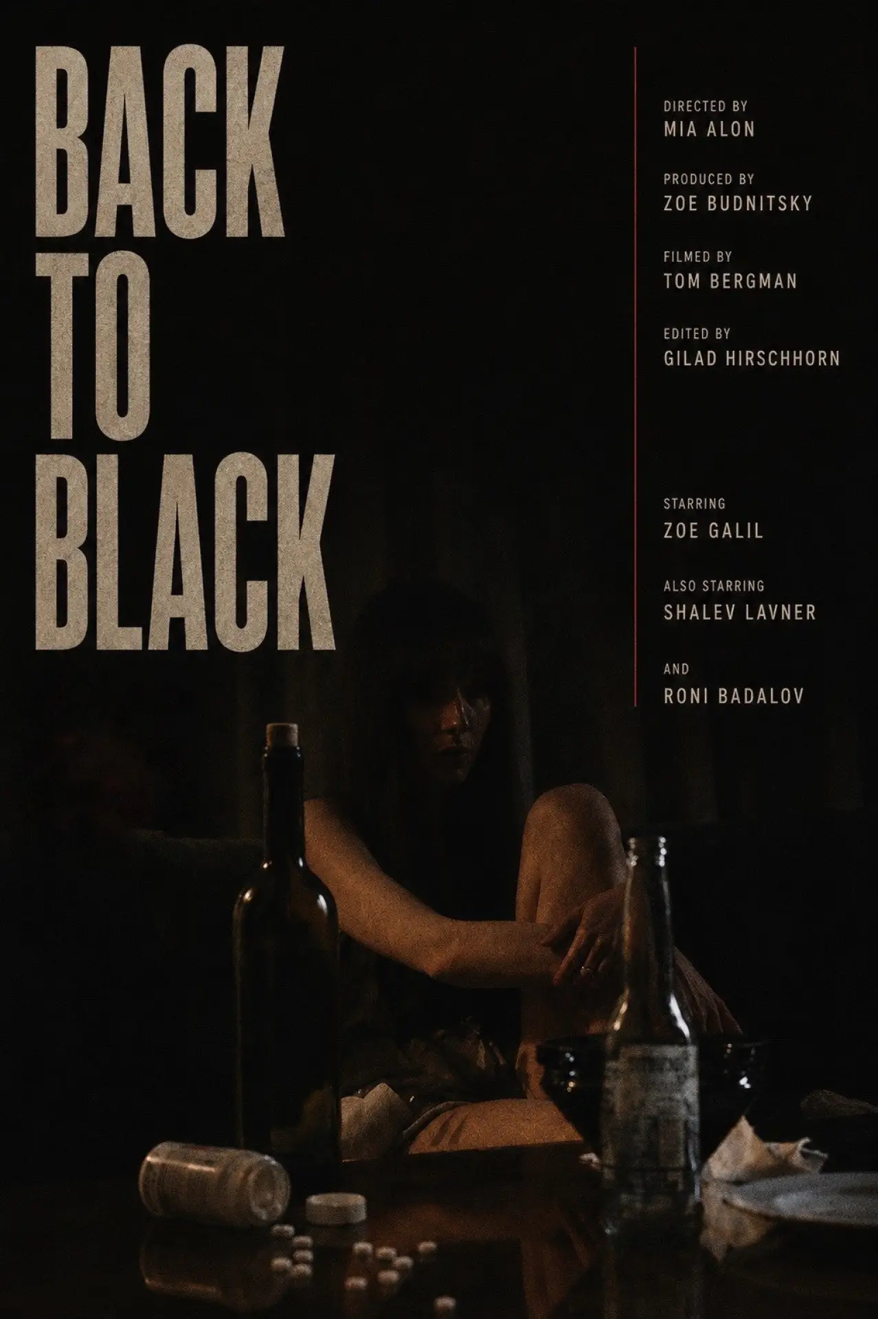 Постер до фільму "Back To Black"