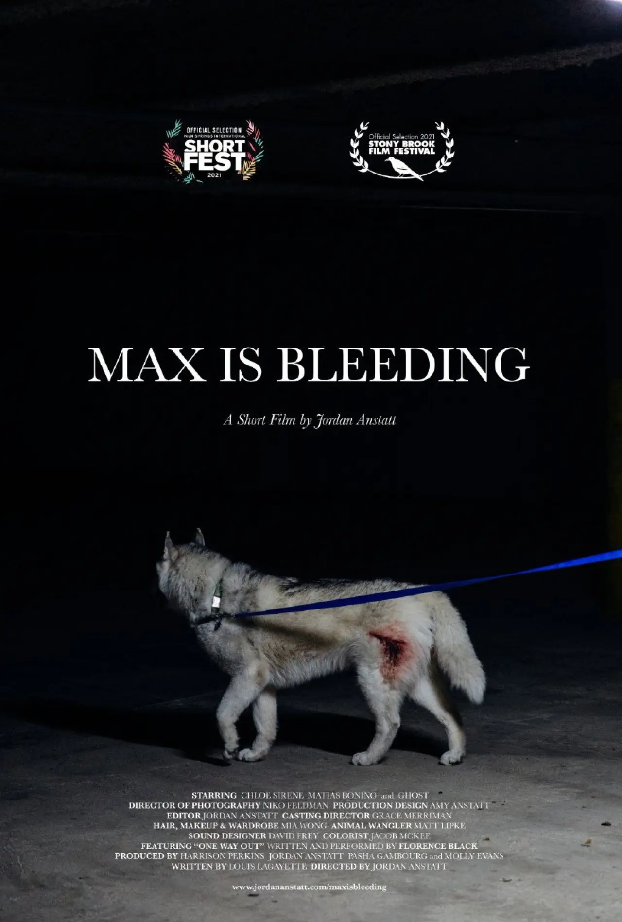 Постер до фільму "Max is Bleeding"