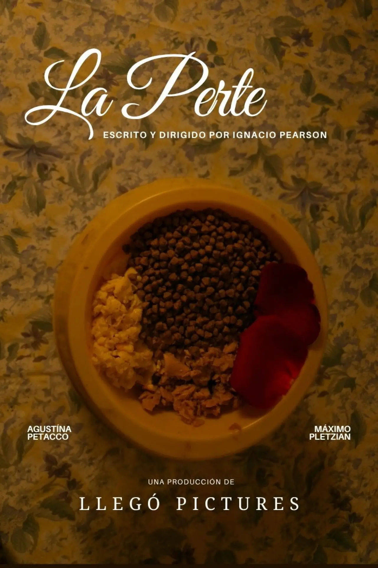 Постер до фільму "La Perte"