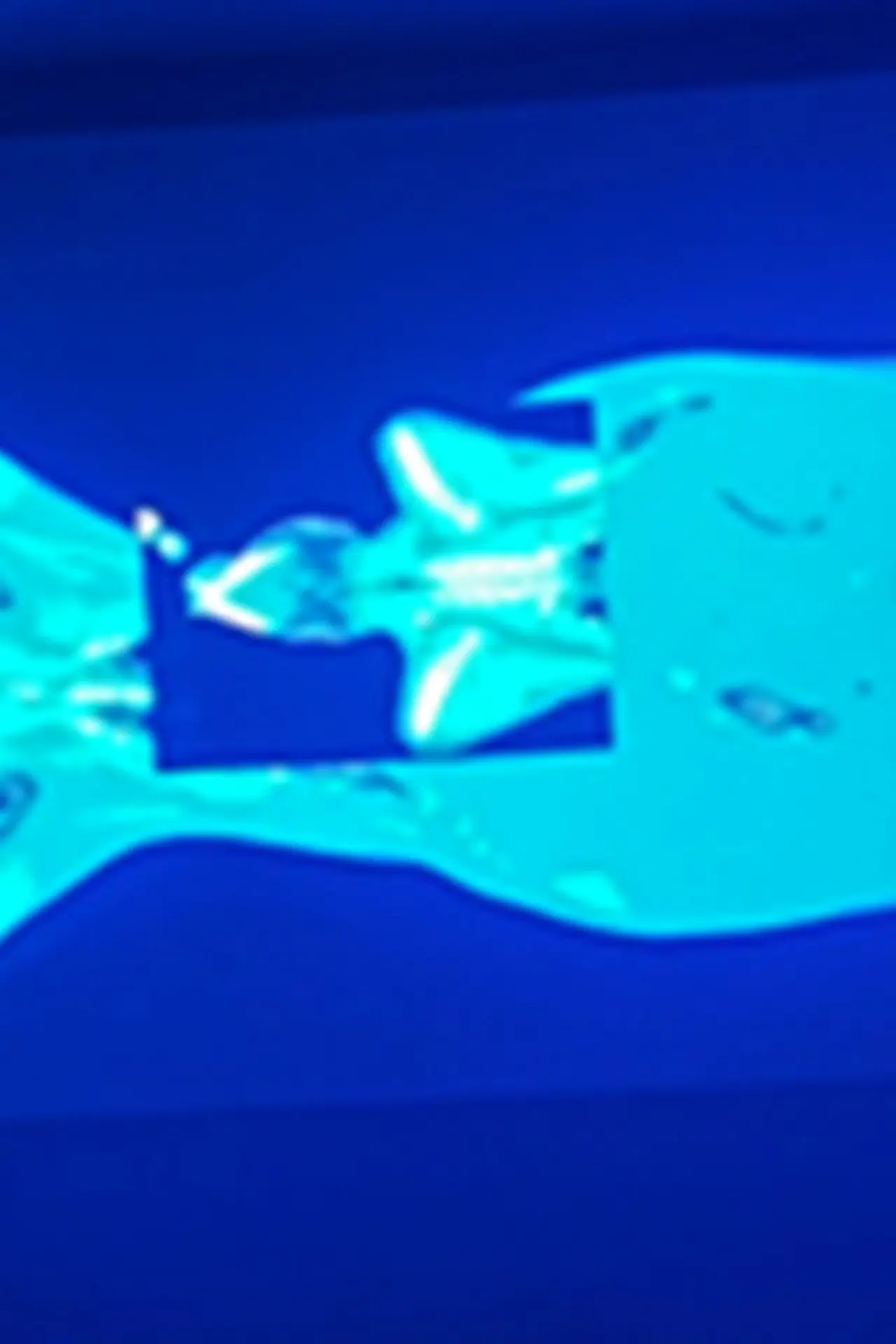 Постер до фільму "X-Ray Katx"