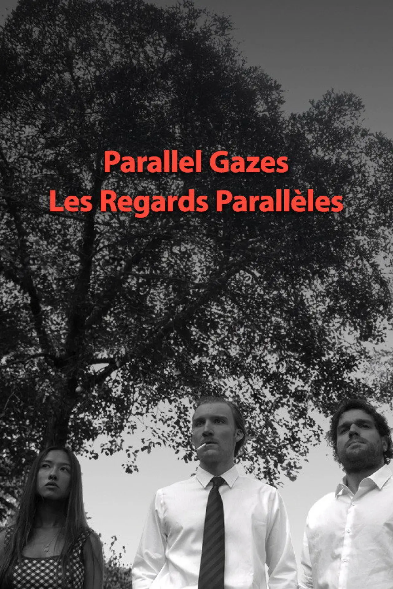 Постер до фільму "Les regards parallèles"