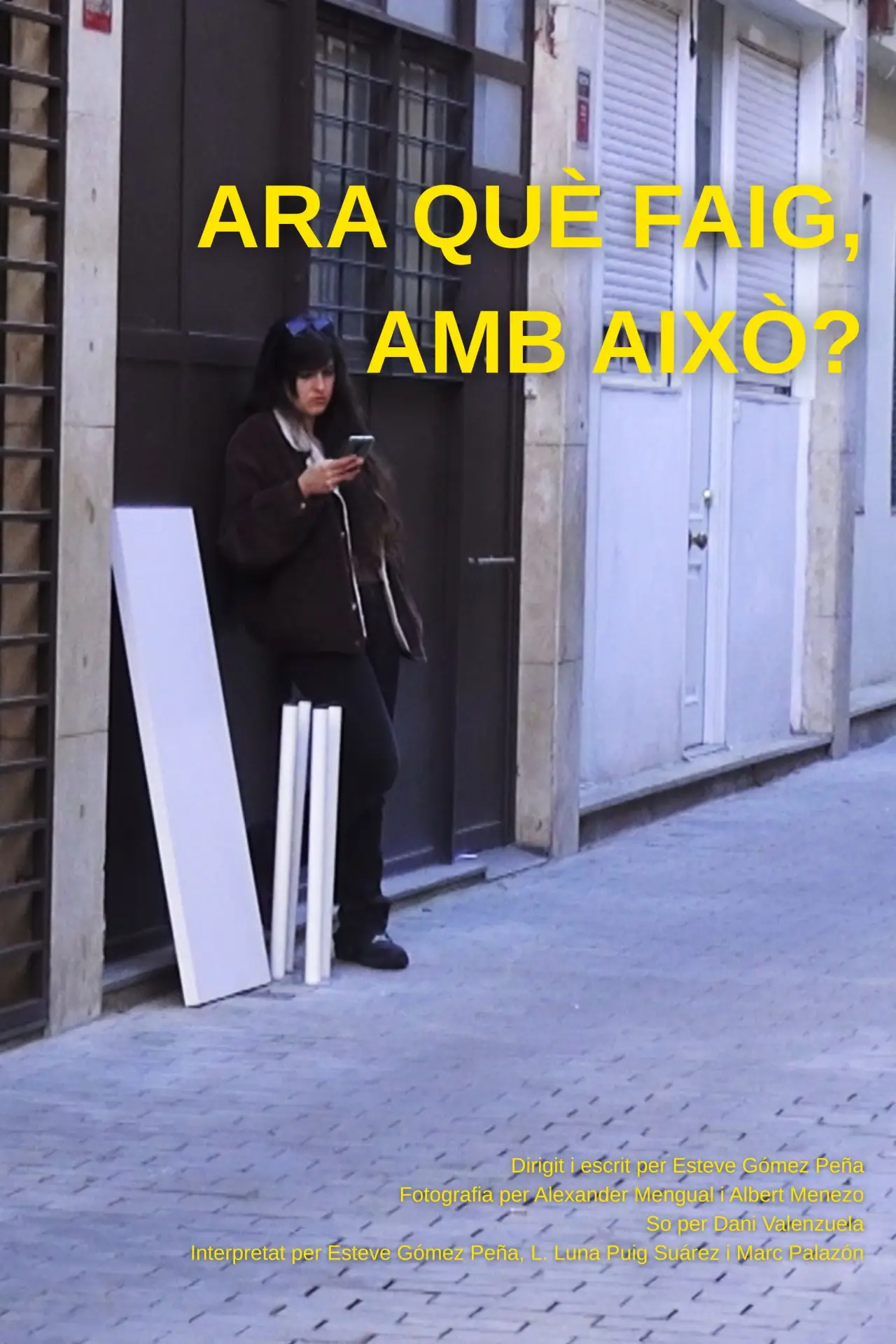 Постер до фільму "Ara què faig, amb això?"