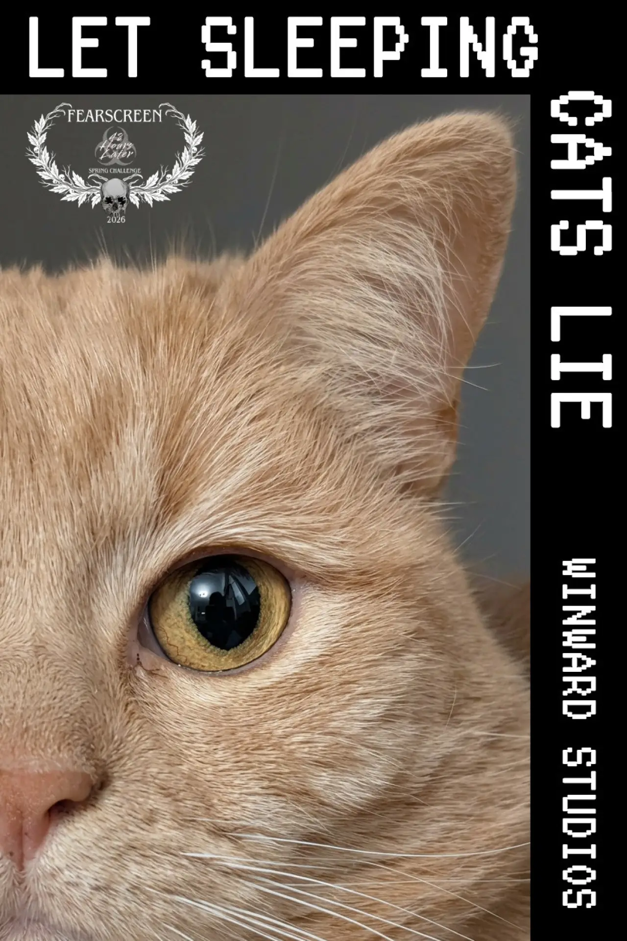 Постер до фільму "Let Sleeping Cats Lie"
