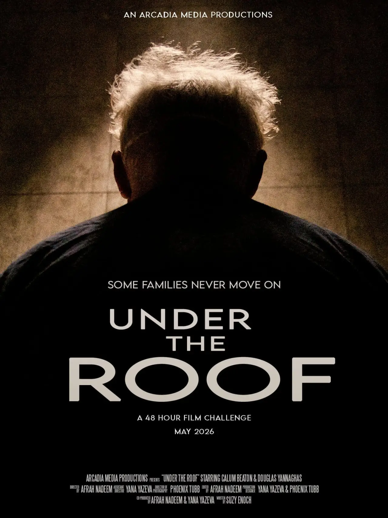 Постер до фільму "Under the Roof"