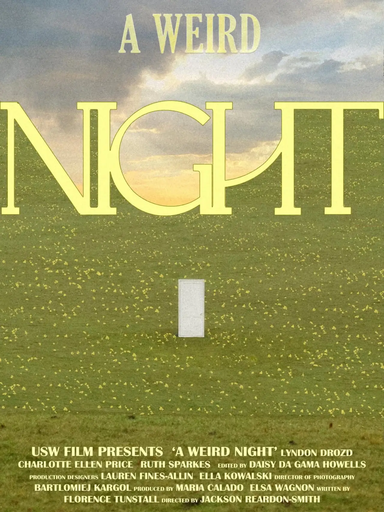 Постер до фільму "A Weird Night"