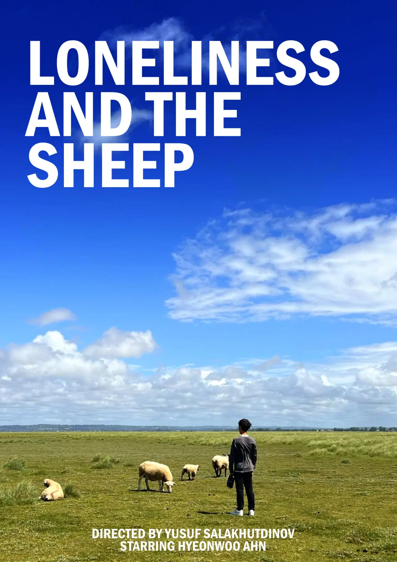 Постер до фільму "Loneliness and the Sheep"