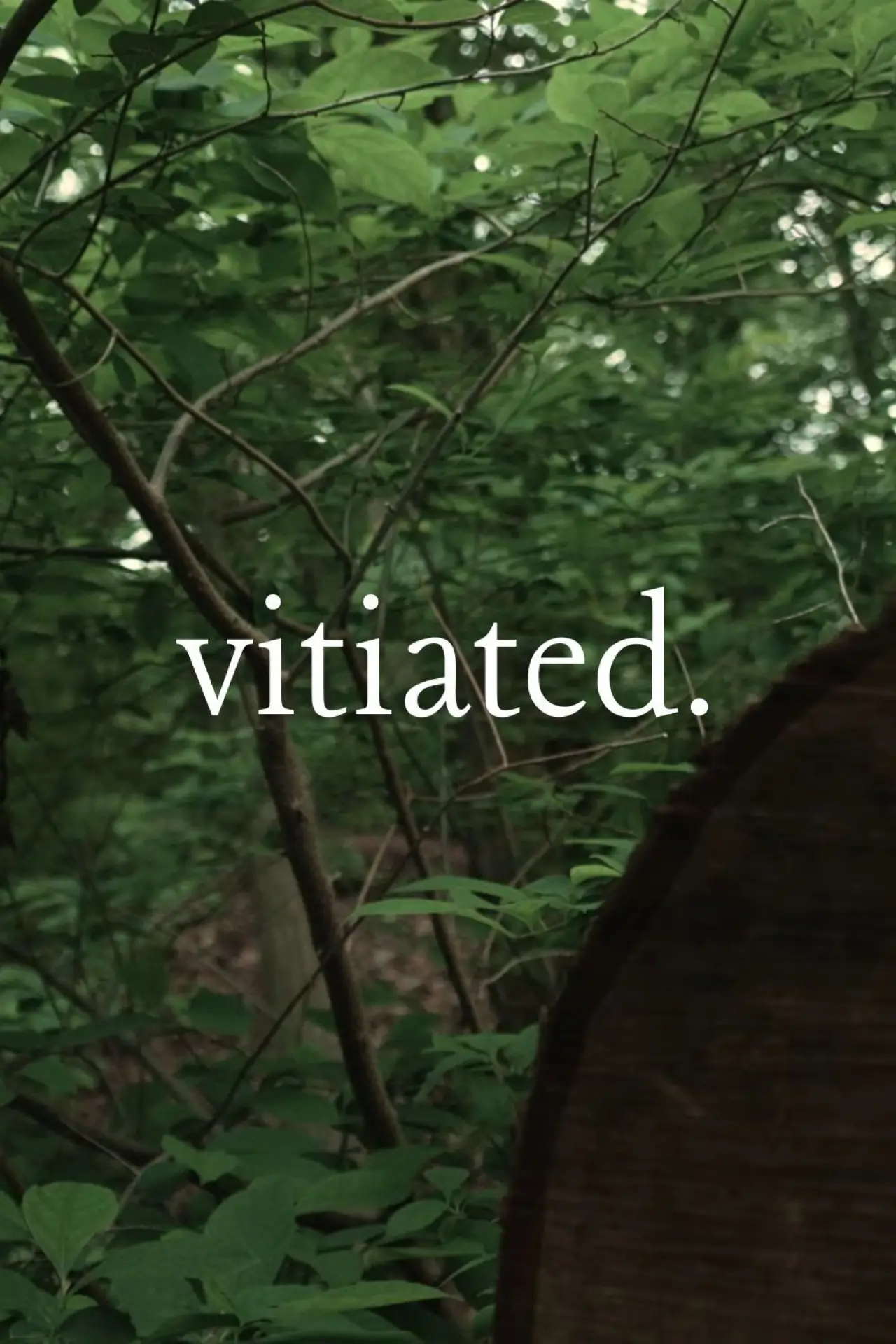 Постер до фільму "Vitiated"