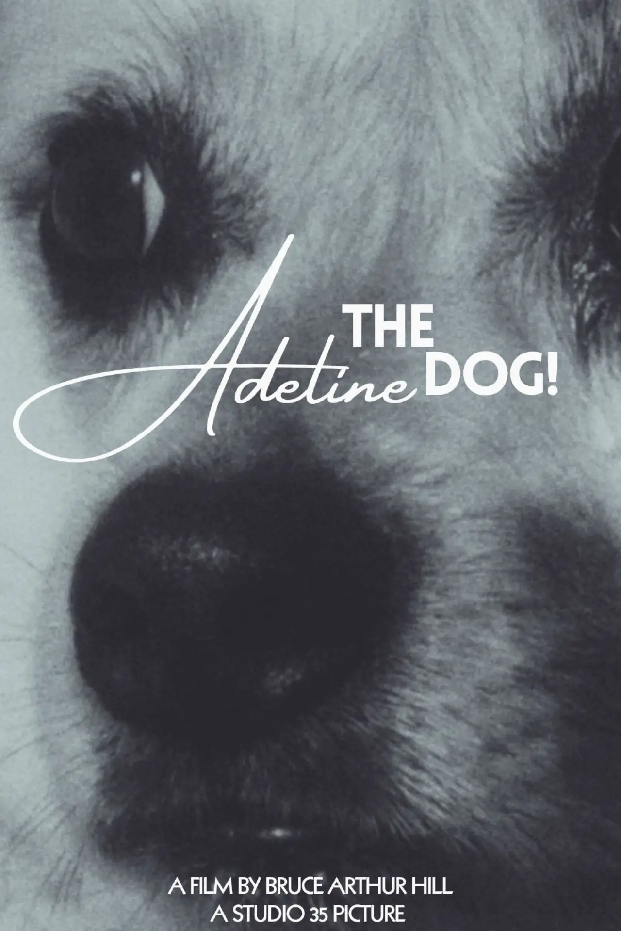 Постер до фільму "Adeline The Dog!"