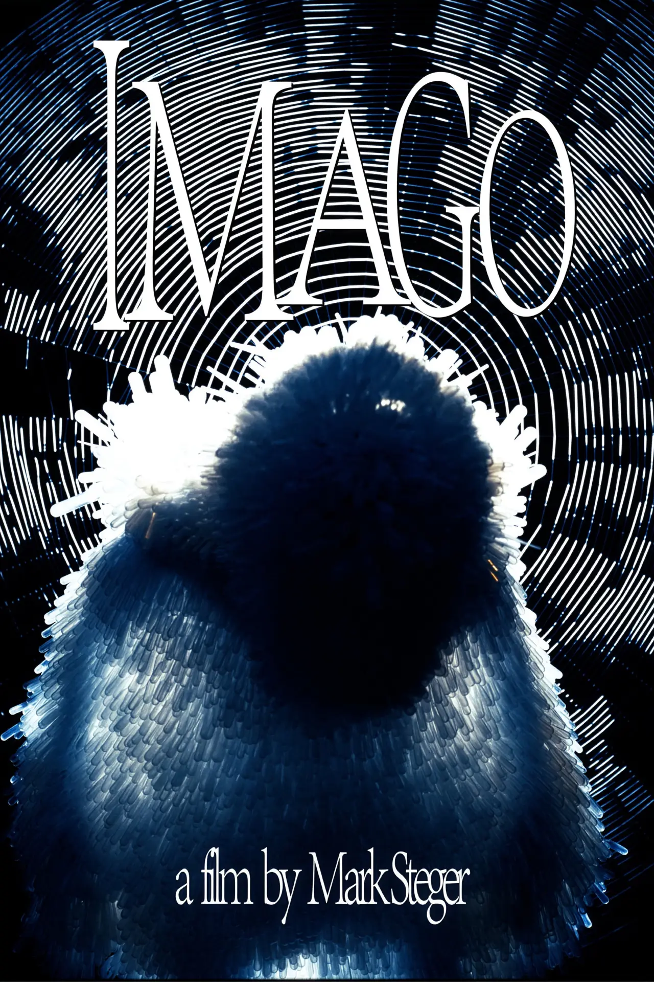 Постер до фільму "Imago"