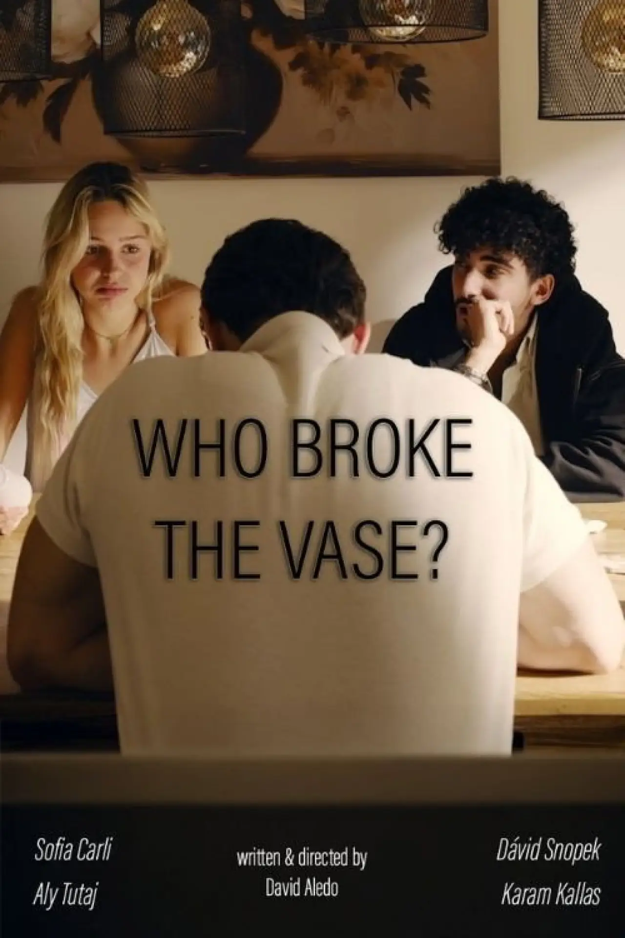 Постер до фільму "Who broke the vase?"