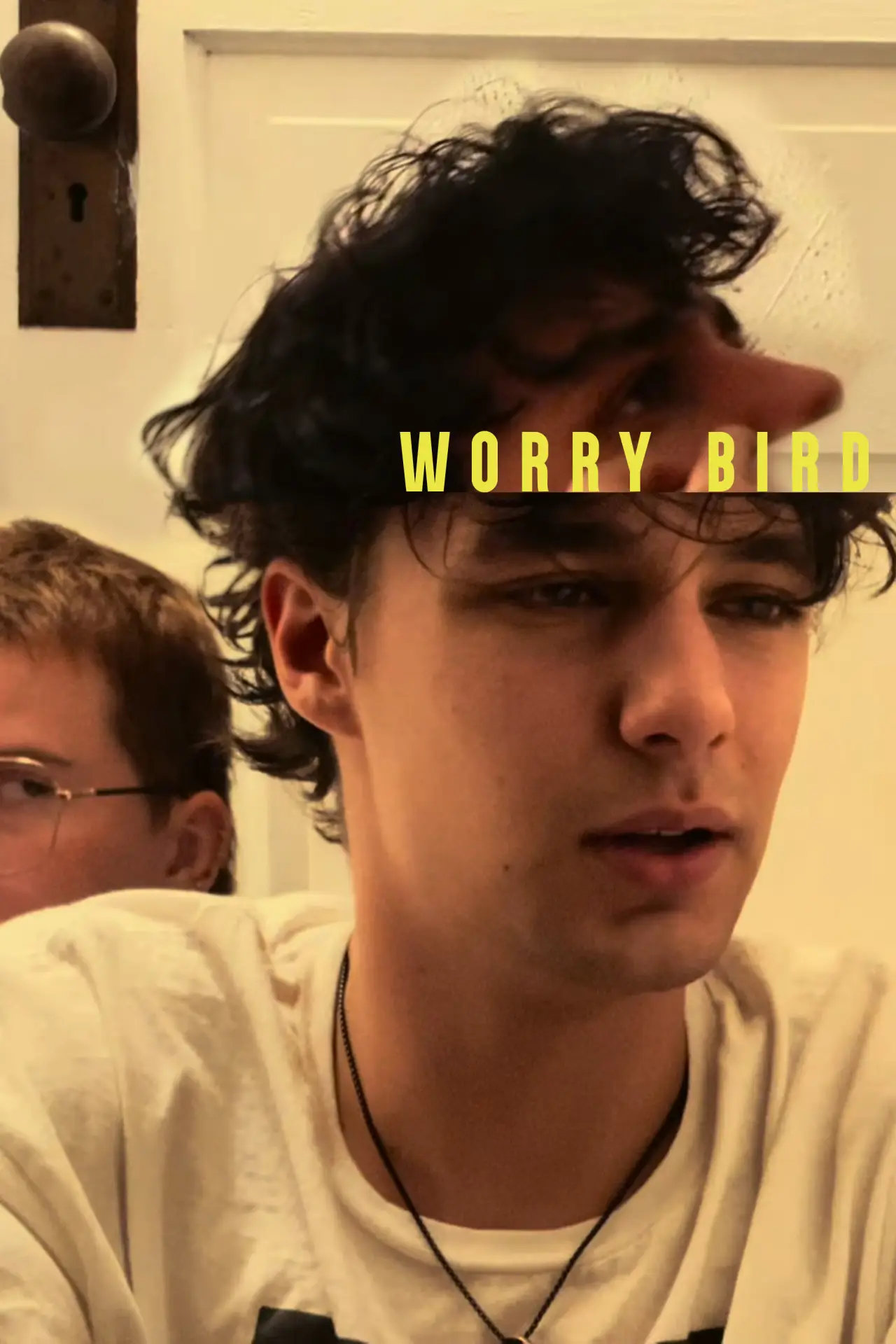 Постер до фільму "Worry Bird"