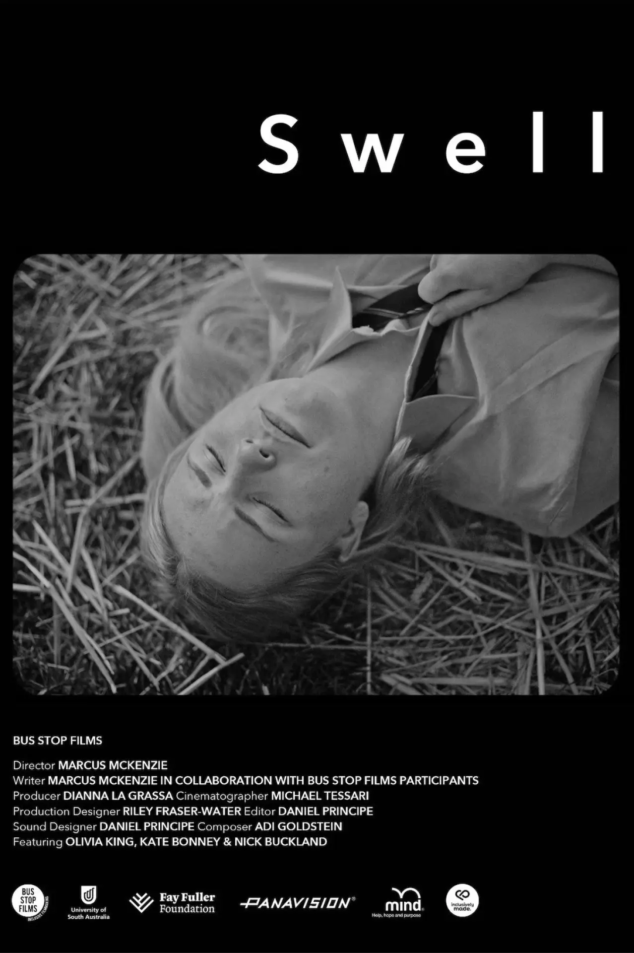 Постер до фільму "Swell"