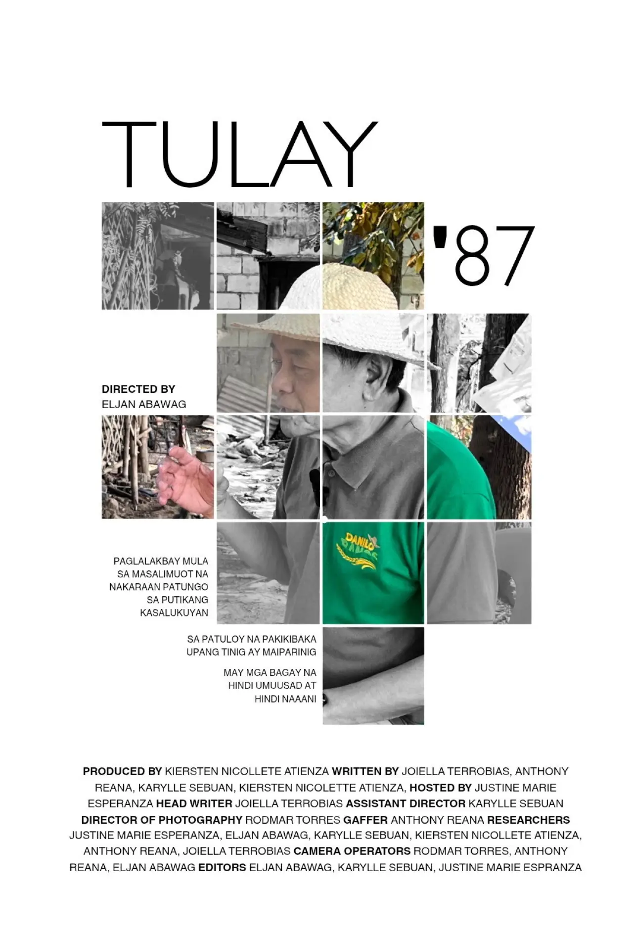 Постер до фільму "Tulay 