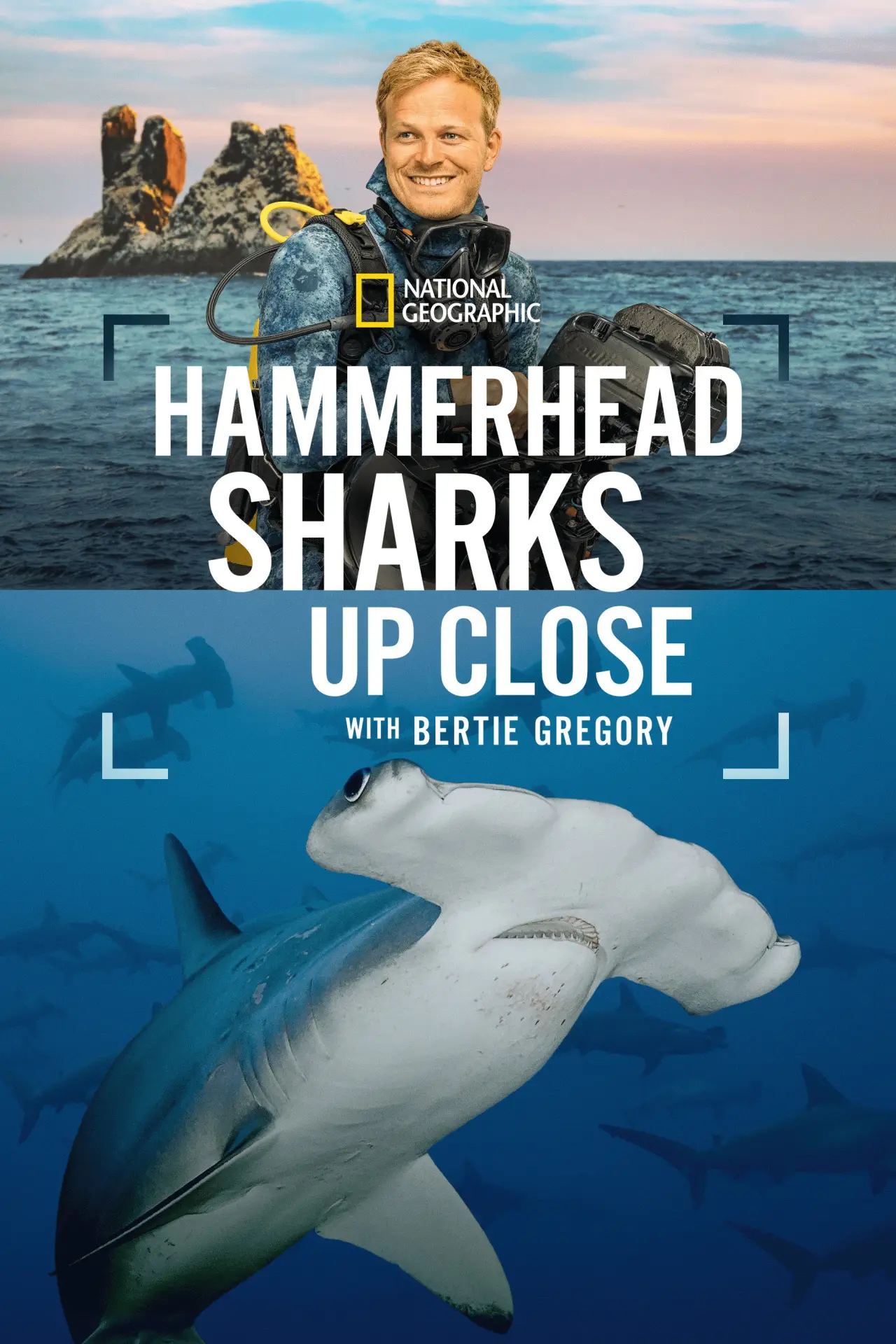 Постер до фільму "Hammerhead Sharks Up Close with Bertie Gregory"