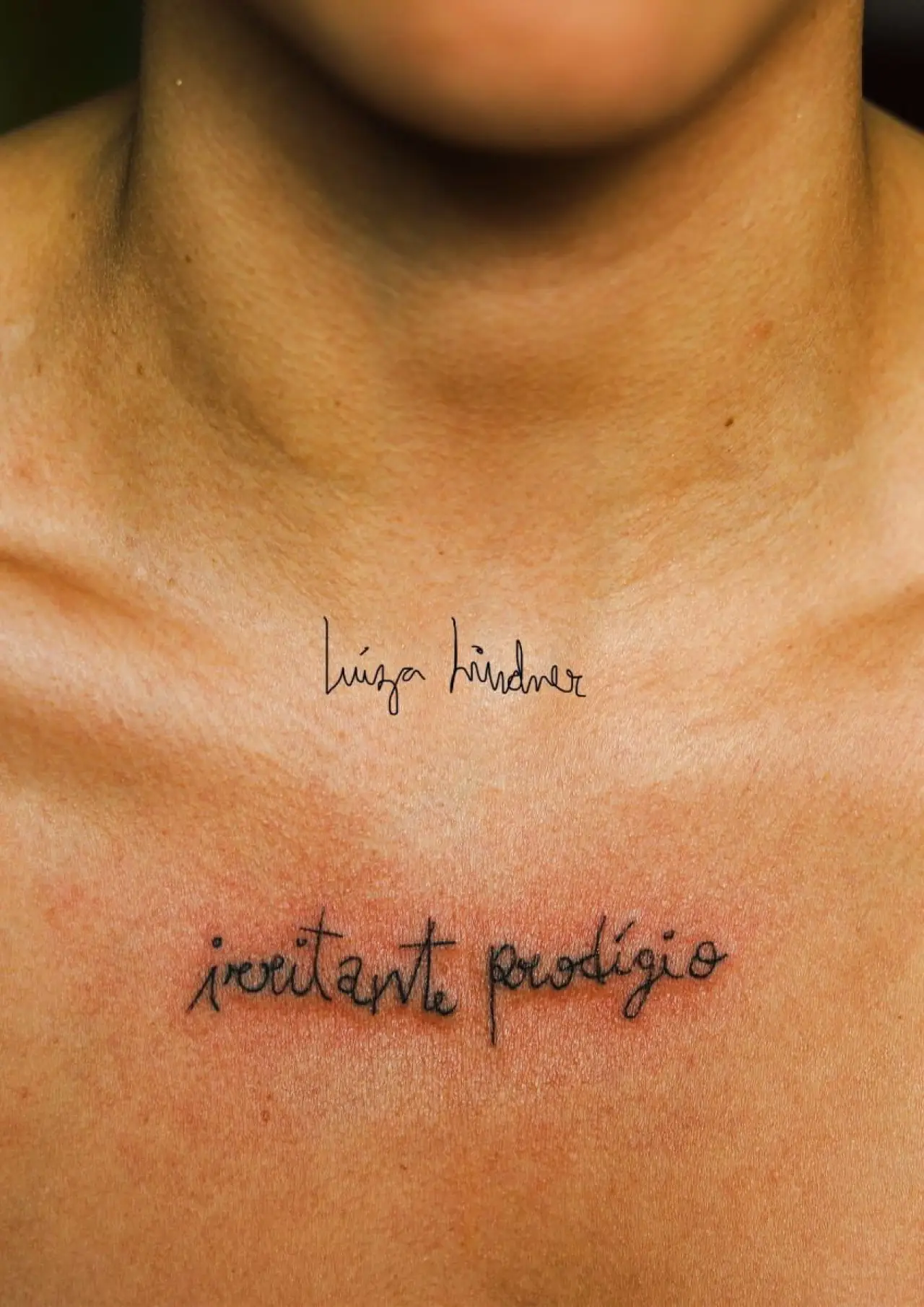 Постер до фільму "Irritante Prodígio"