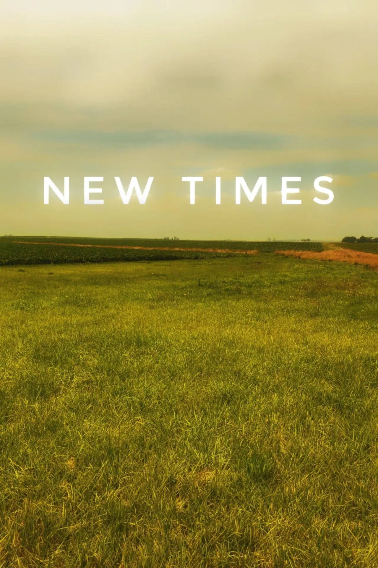 Постер до фільму "New Times"