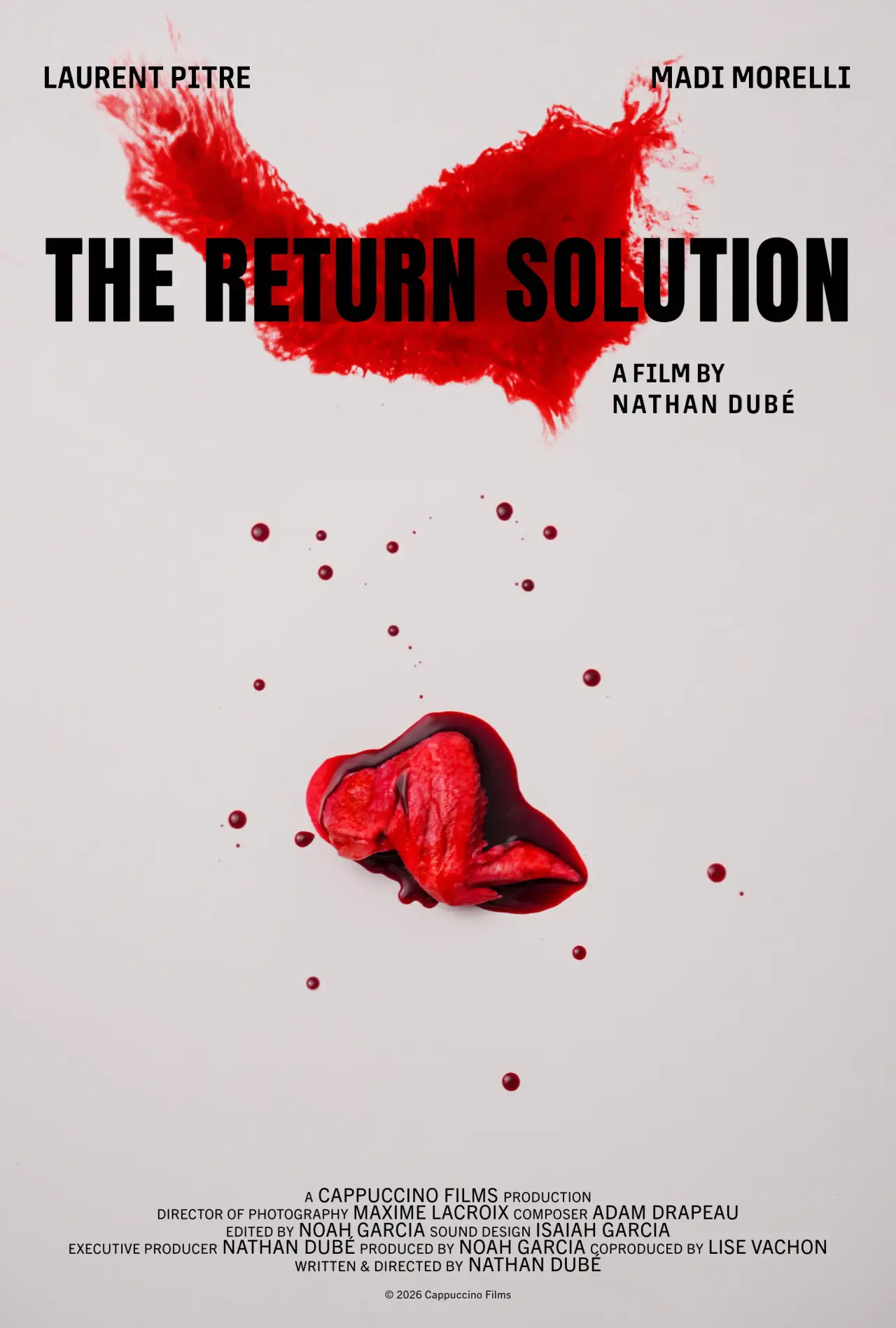Постер до фільму "The Return Solution"