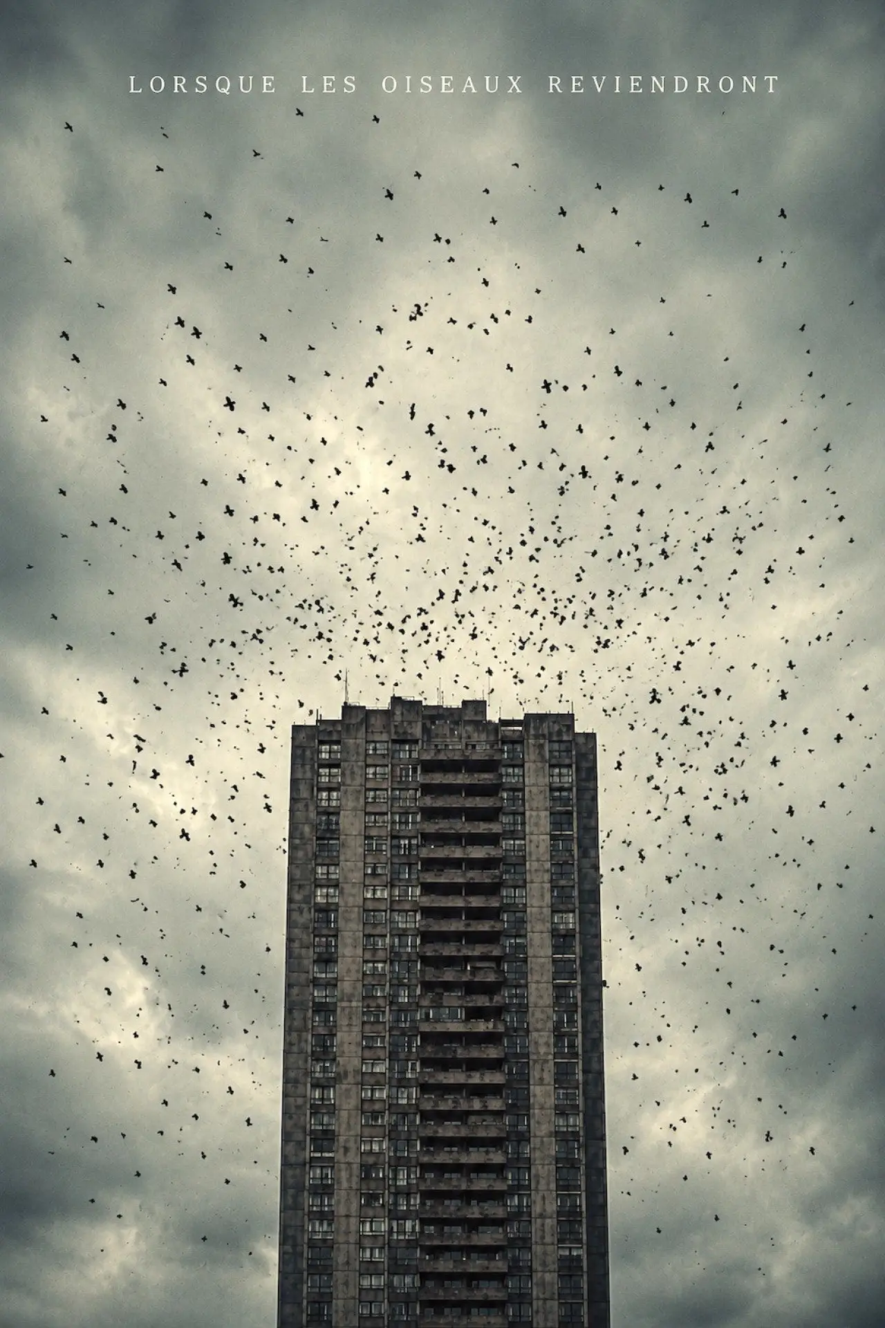 Постер до фільму "Lorsque Les Oiseaux Reviendront"