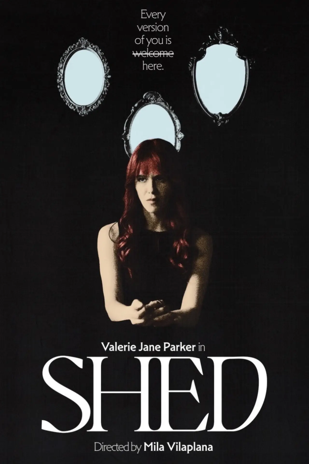 Постер до фільму "SHED"
