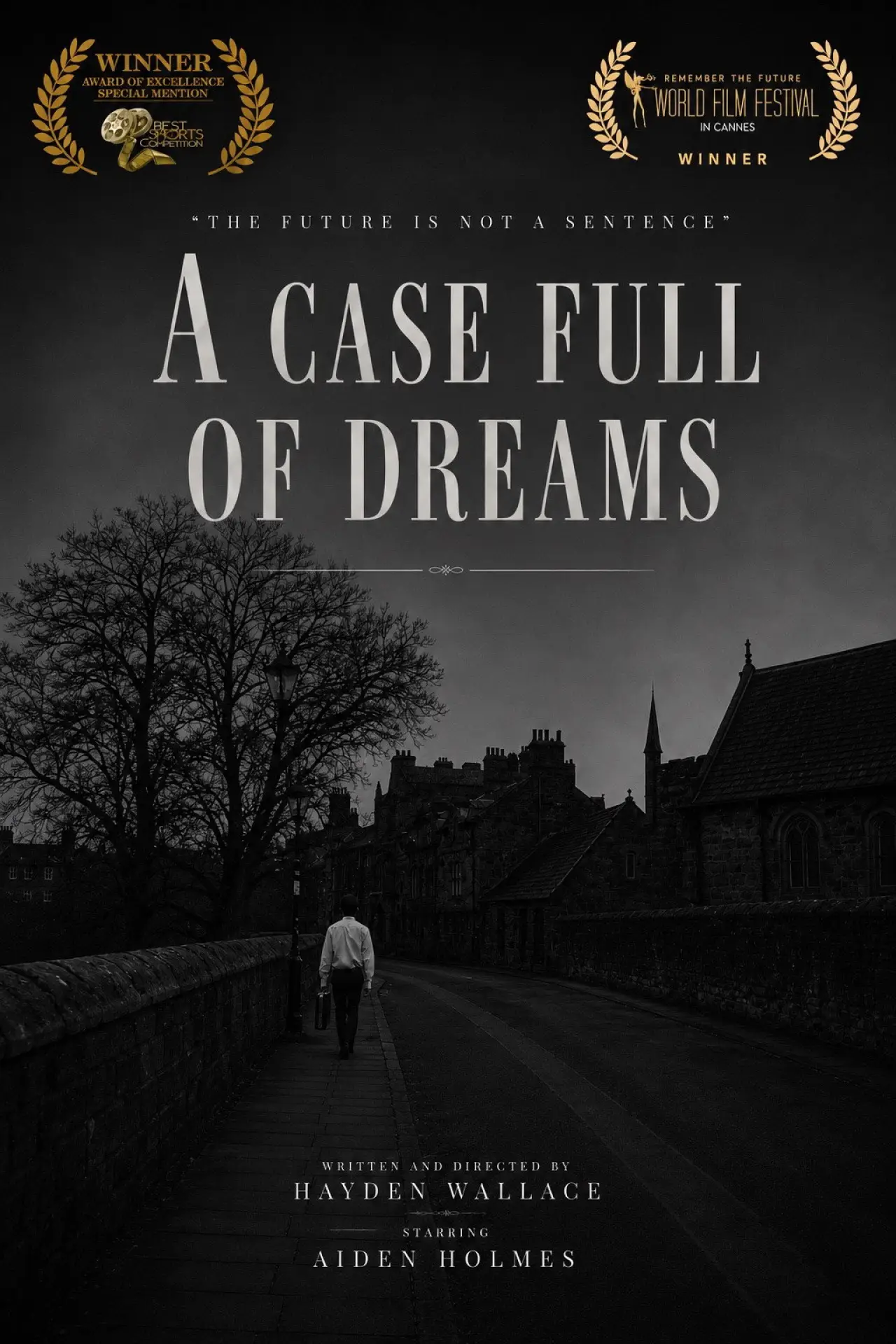 Постер до фільму "A Case Full Of Dreams"