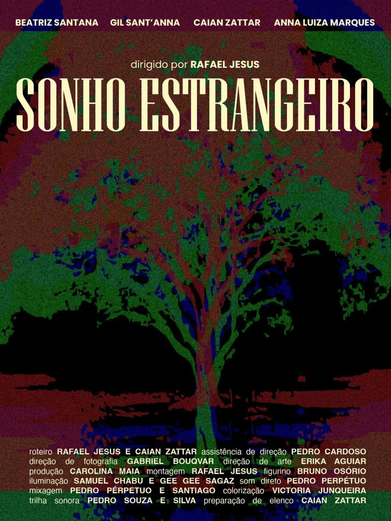 Постер до фільму "Sonho Estrangeiro"