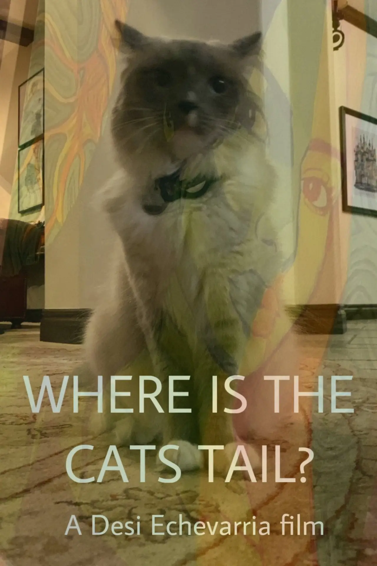 Постер до фільму "Where Is The Cat