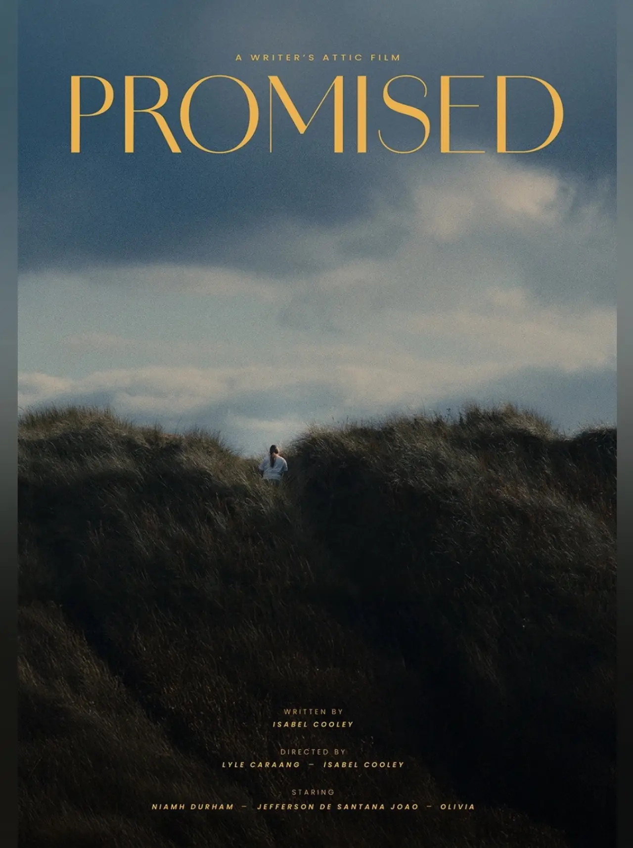 Постер до фільму "Promised"