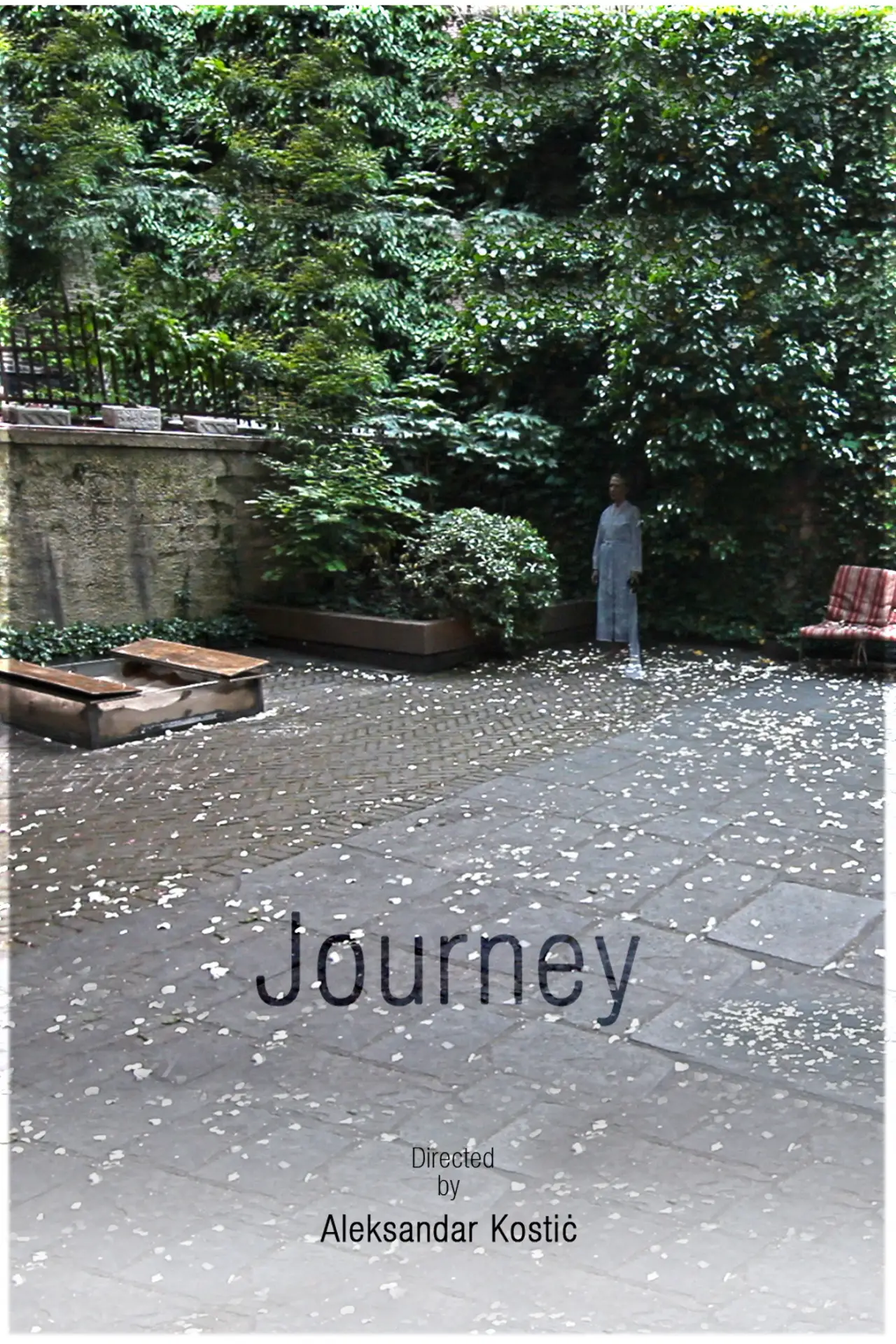 Постер до фільму "Journey"