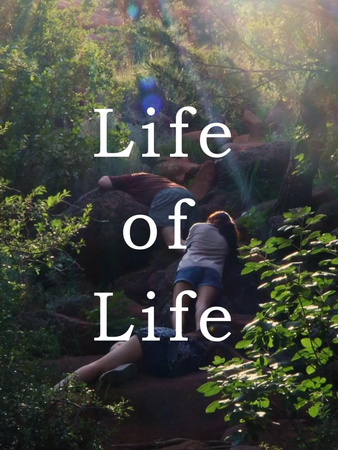 Постер до фільму "Life of Life"