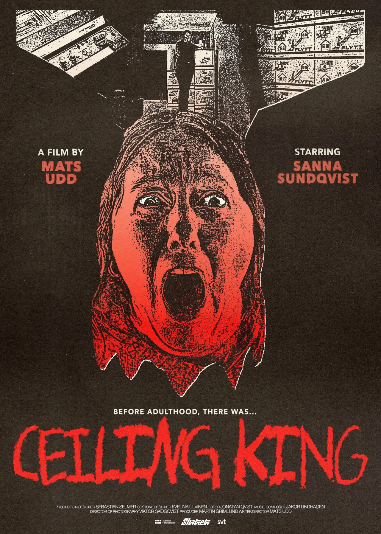Постер до фільму "Ceiling King"