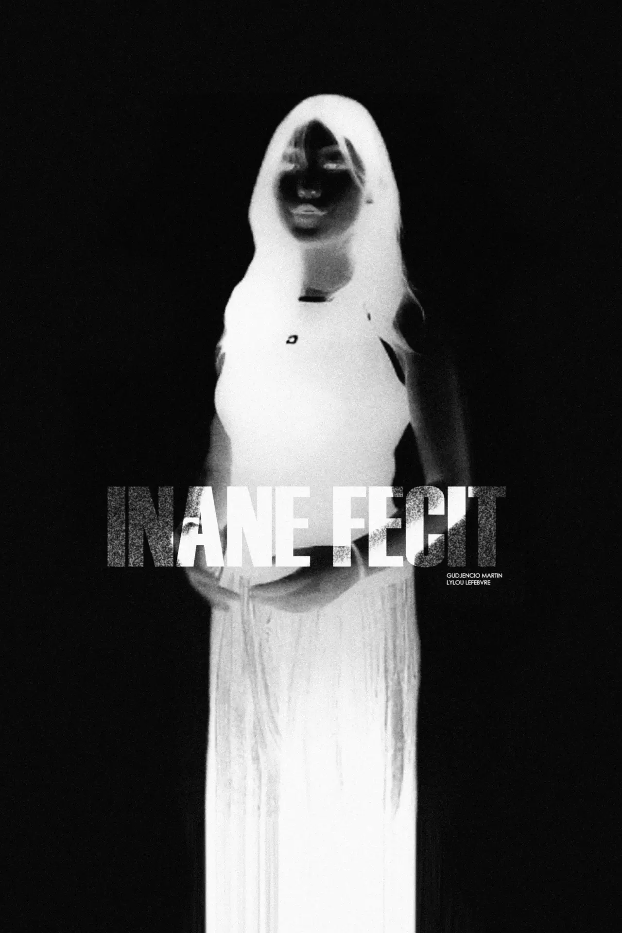 Постер до фільму "INANE FECIT"