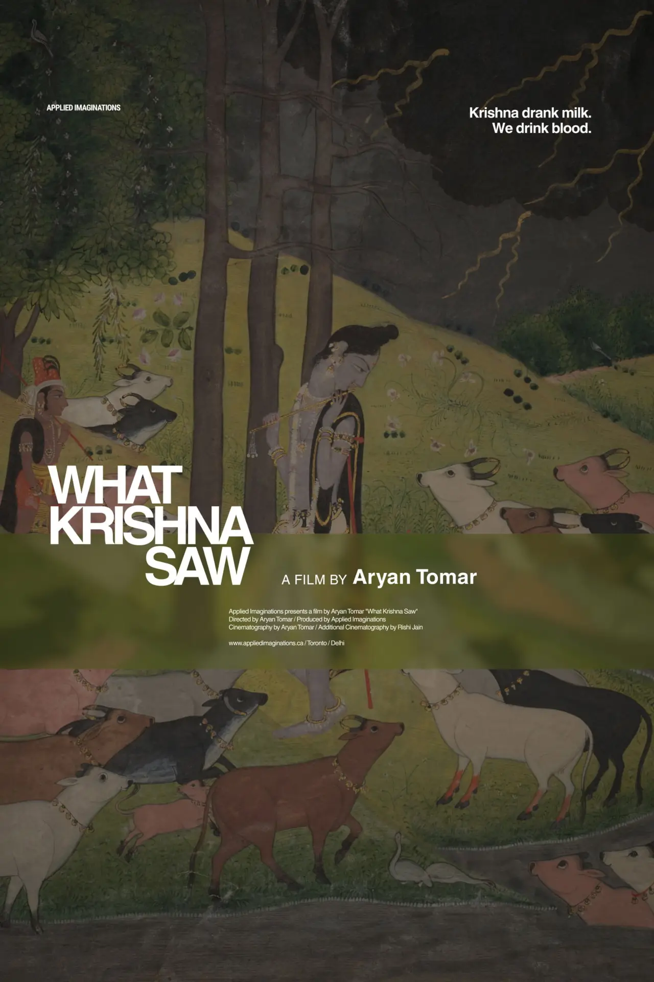 Постер до фільму "What Krishna Saw"