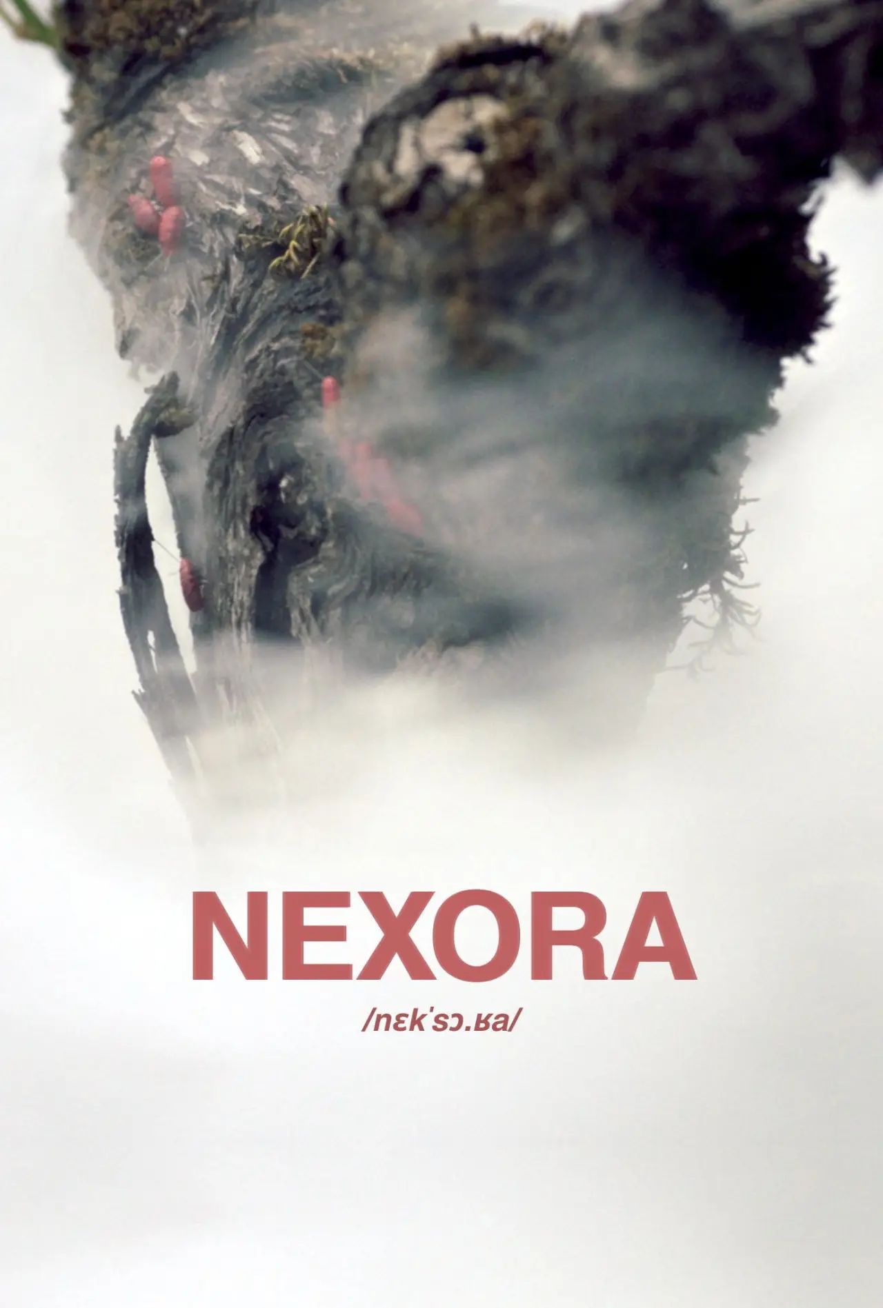 Постер до фільму "Nexora"