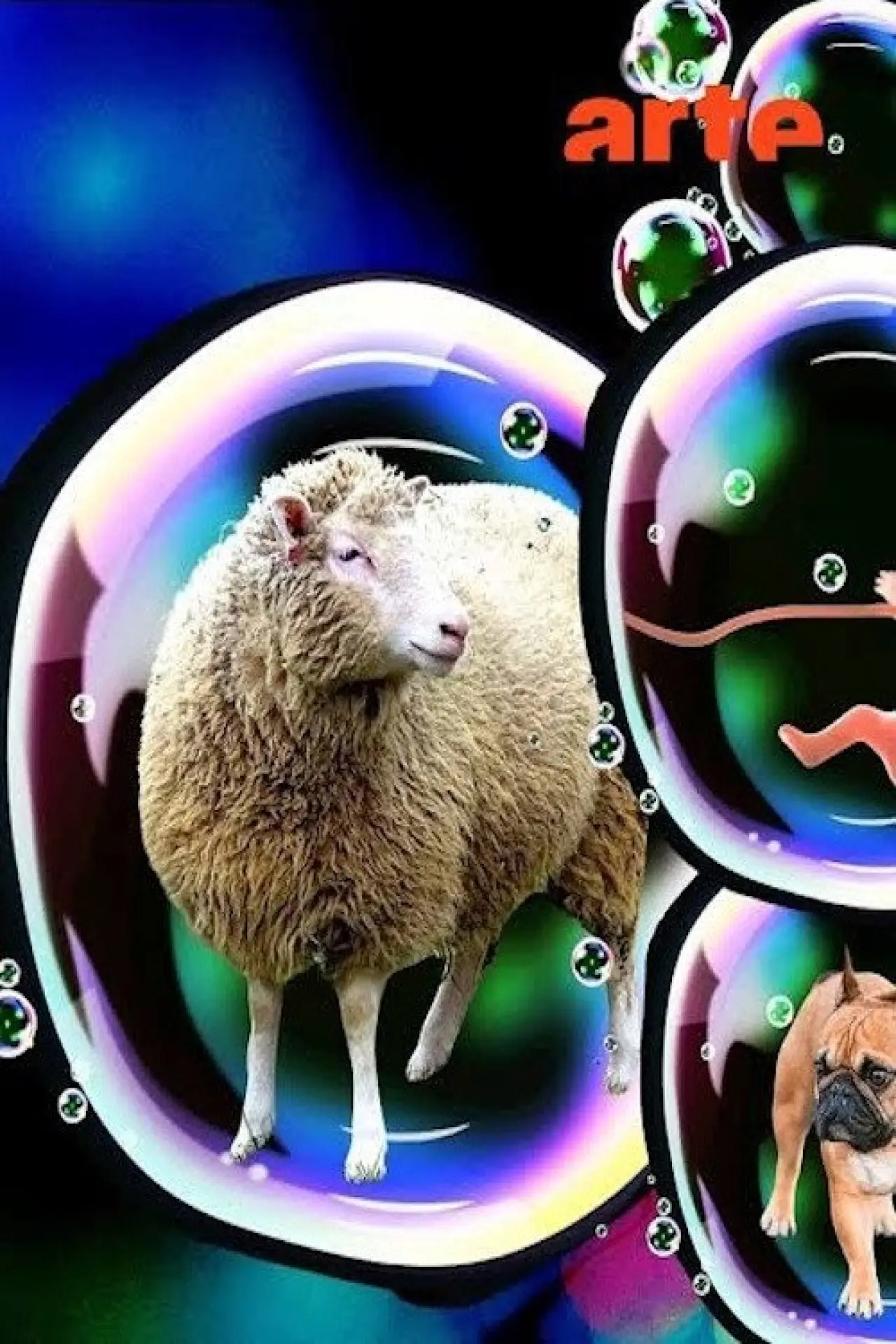 Постер до фільму "Dolly - La révolution du clonage et ses enjeux"