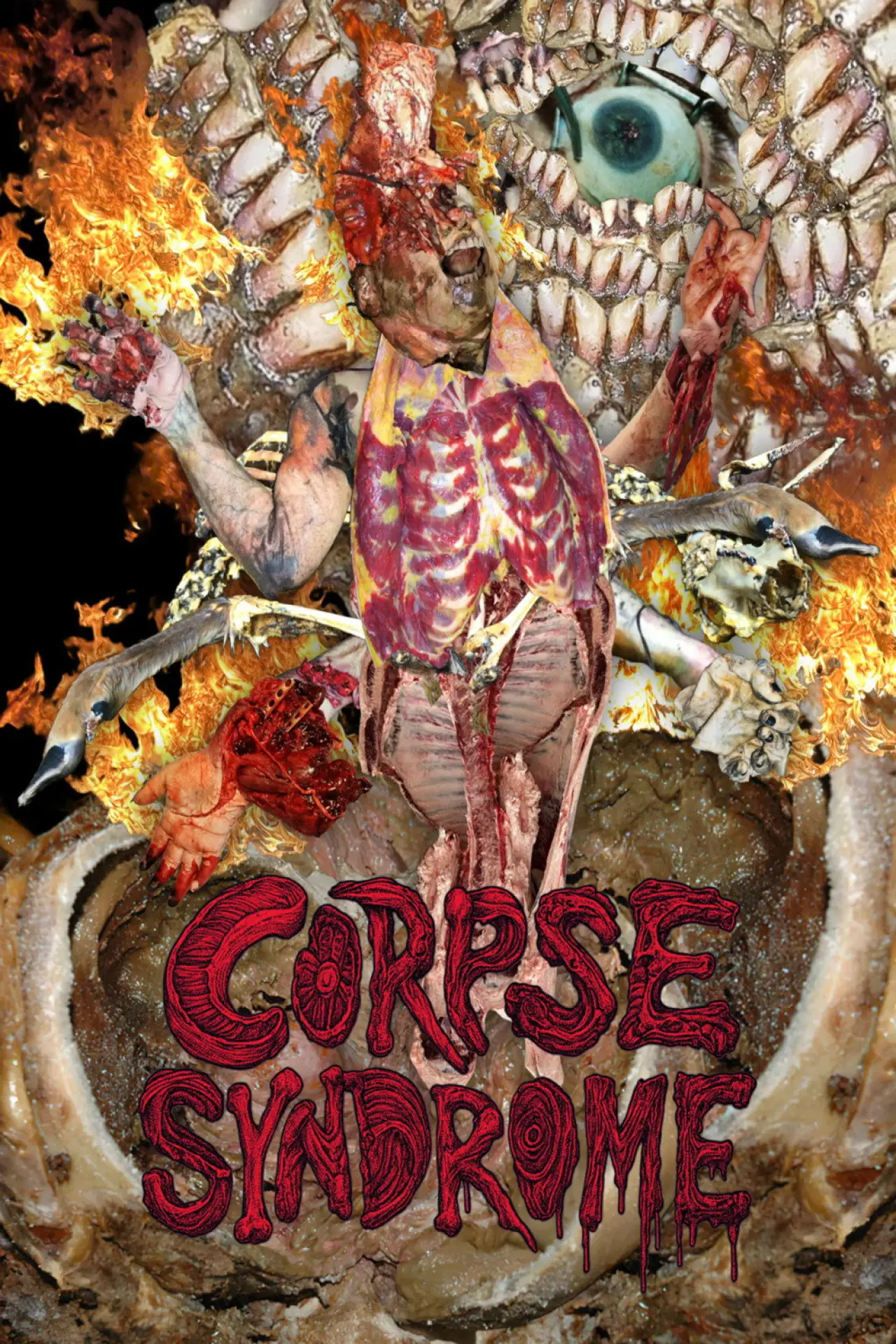 Постер до фільму "Corpse Syndrome"