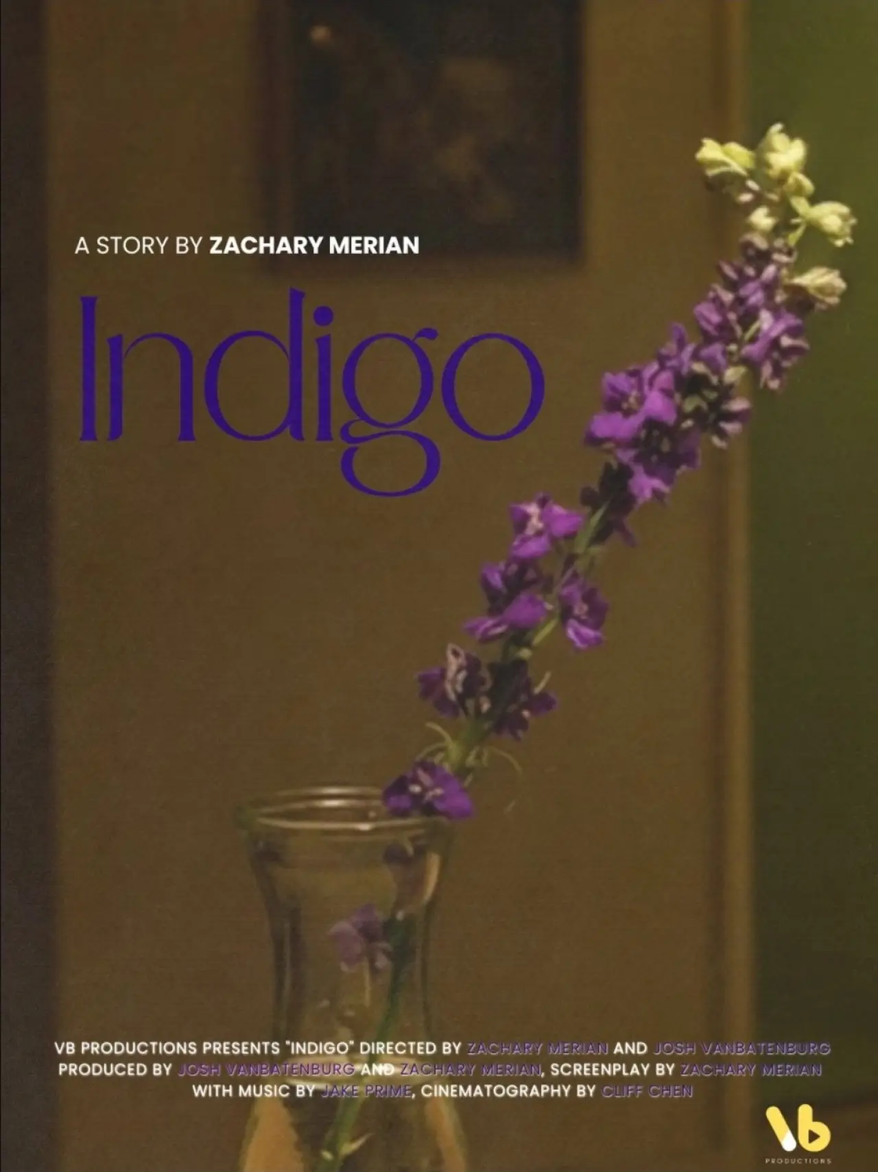 Постер до фільму "INDIGO"