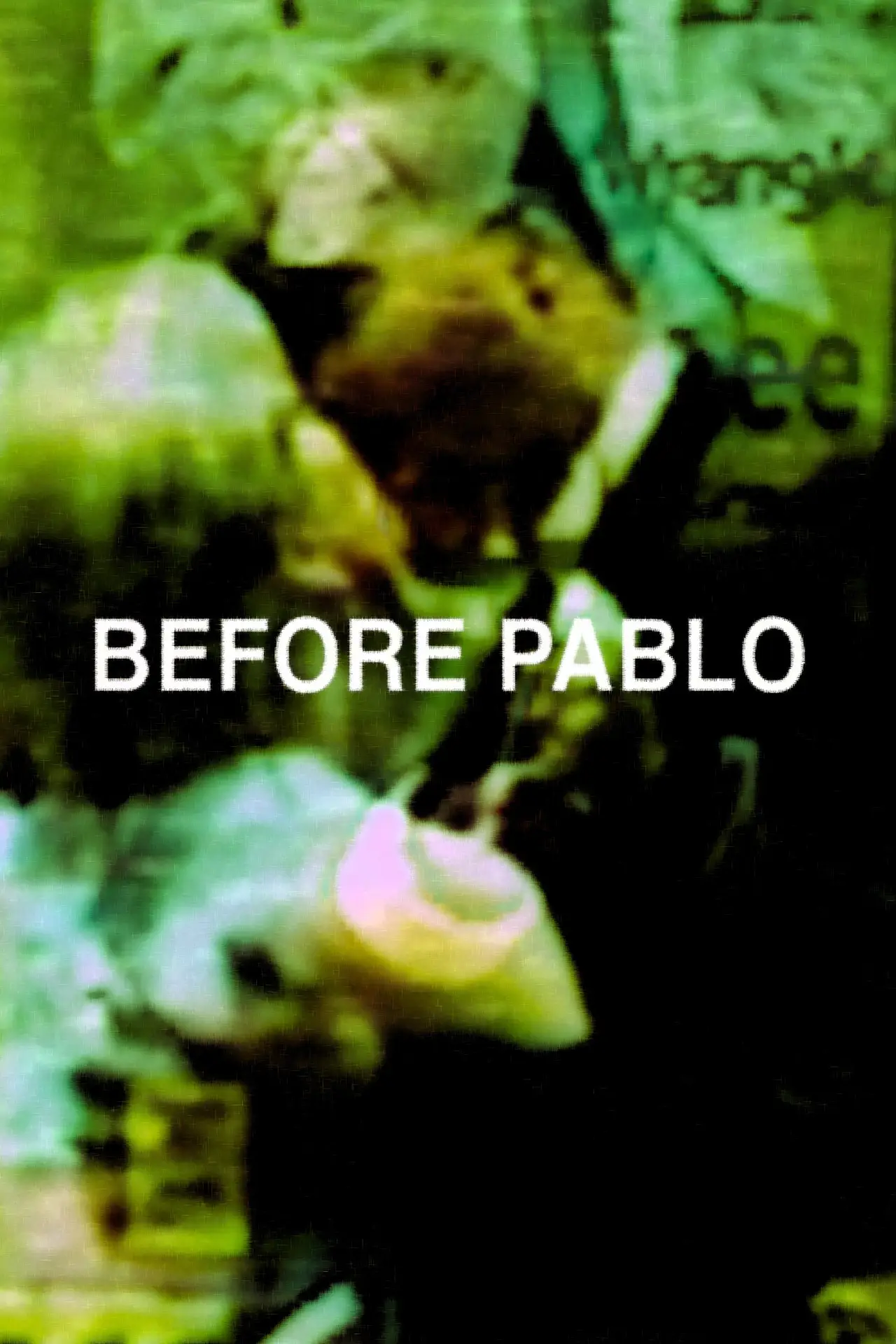 Постер до фільму "before Pablo"