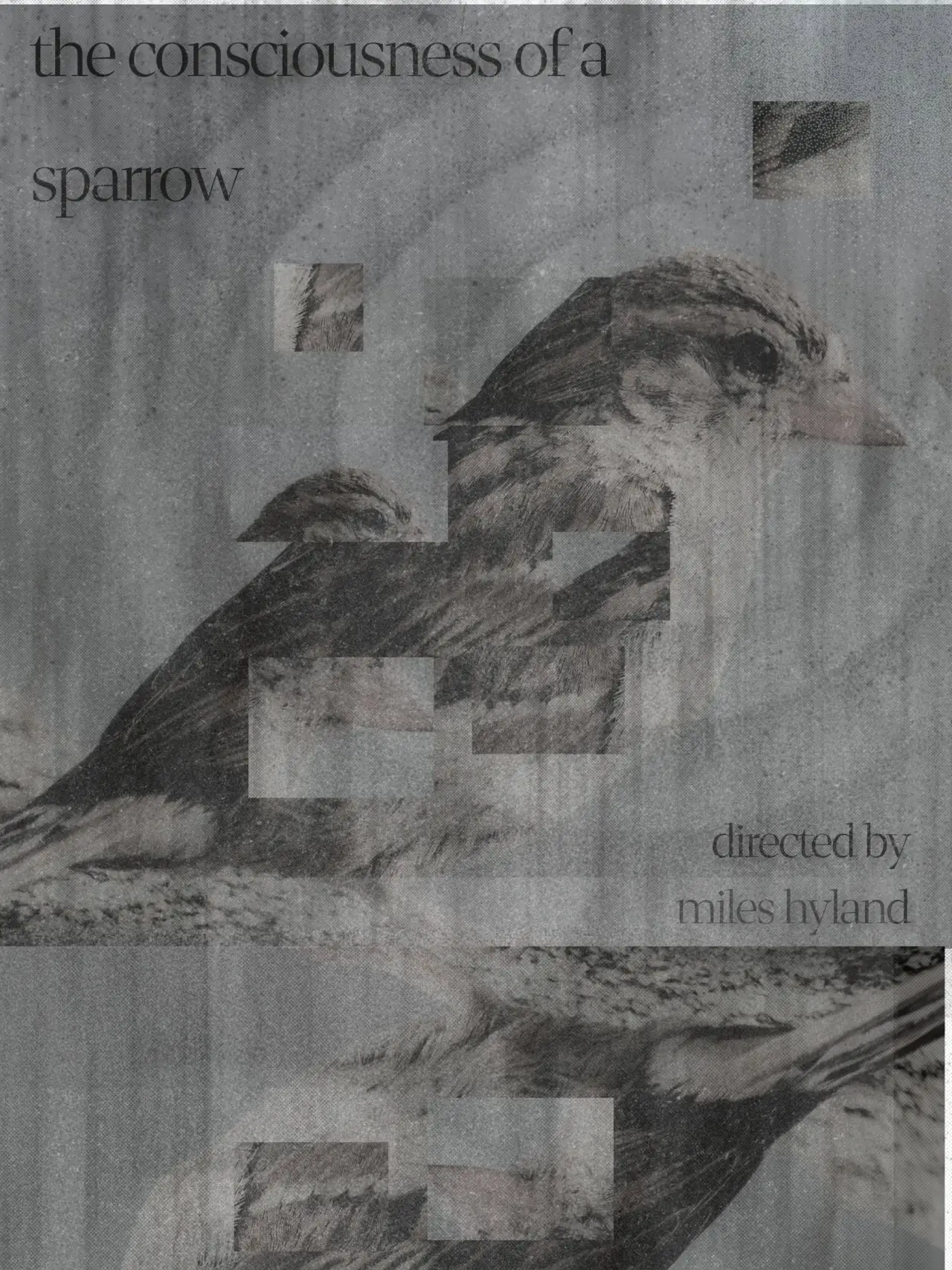 Постер до фільму "The Consciousness of a Sparrow"