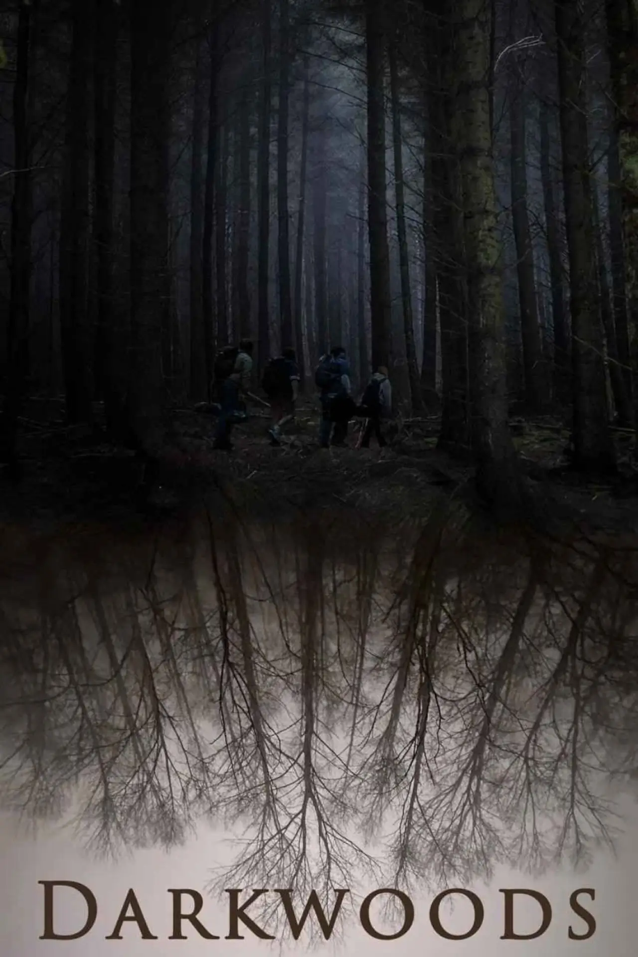 Постер до фільму "Darkwoods"