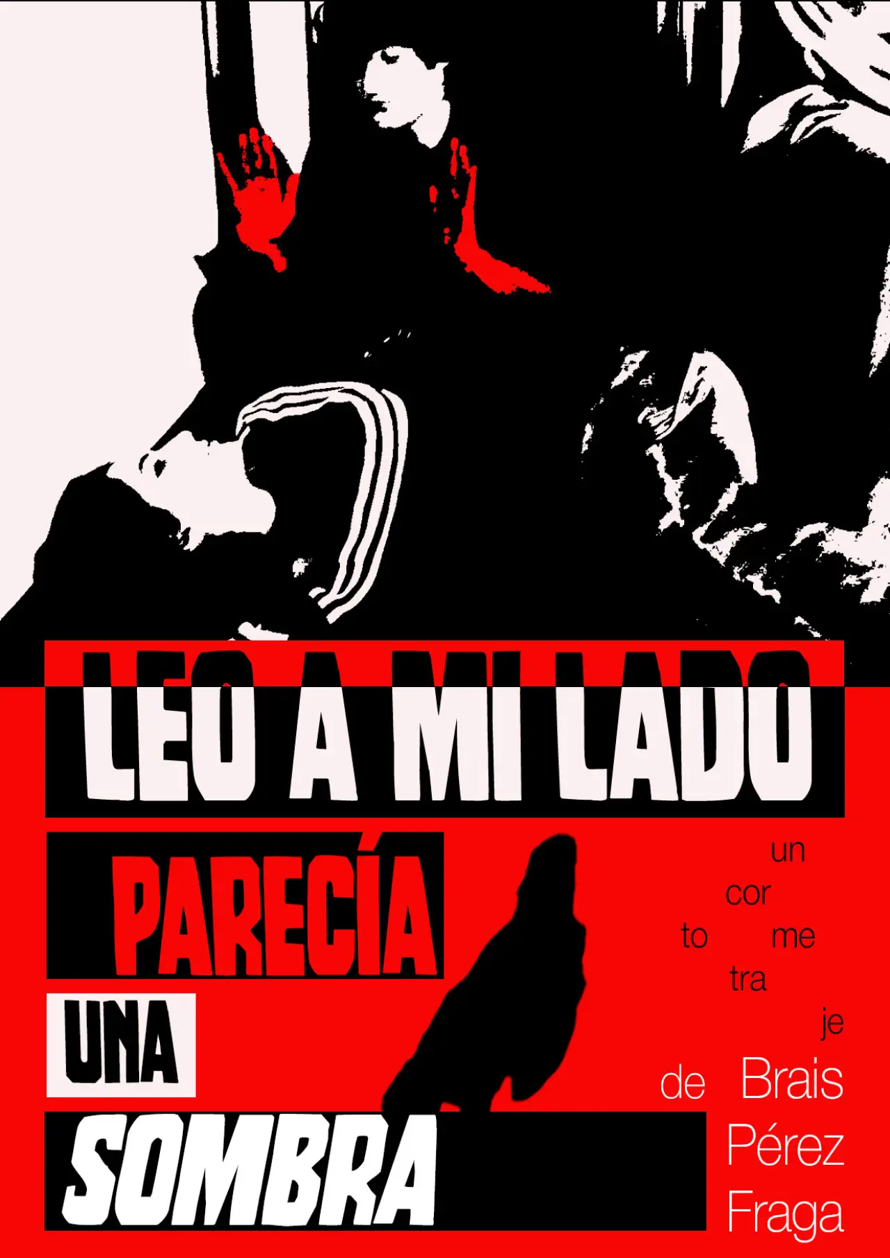 Постер до фільму "Leo a mi lado parecía una sombra"