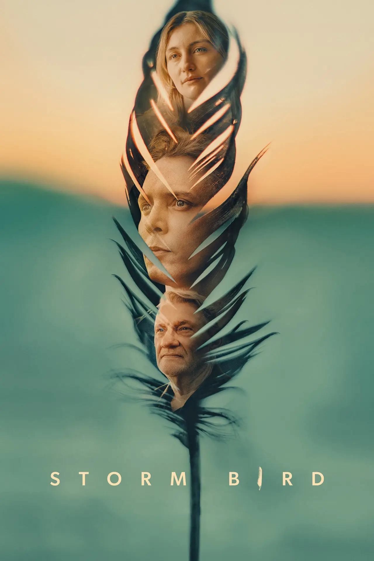 Постер до фільму "Storm Bird"