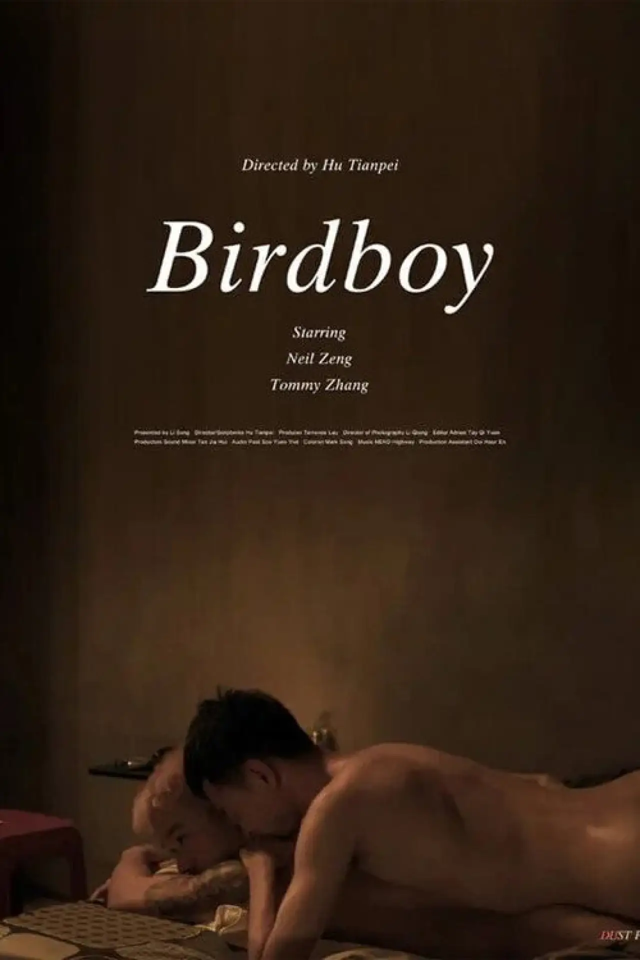 Постер до фільму "Birdboy"