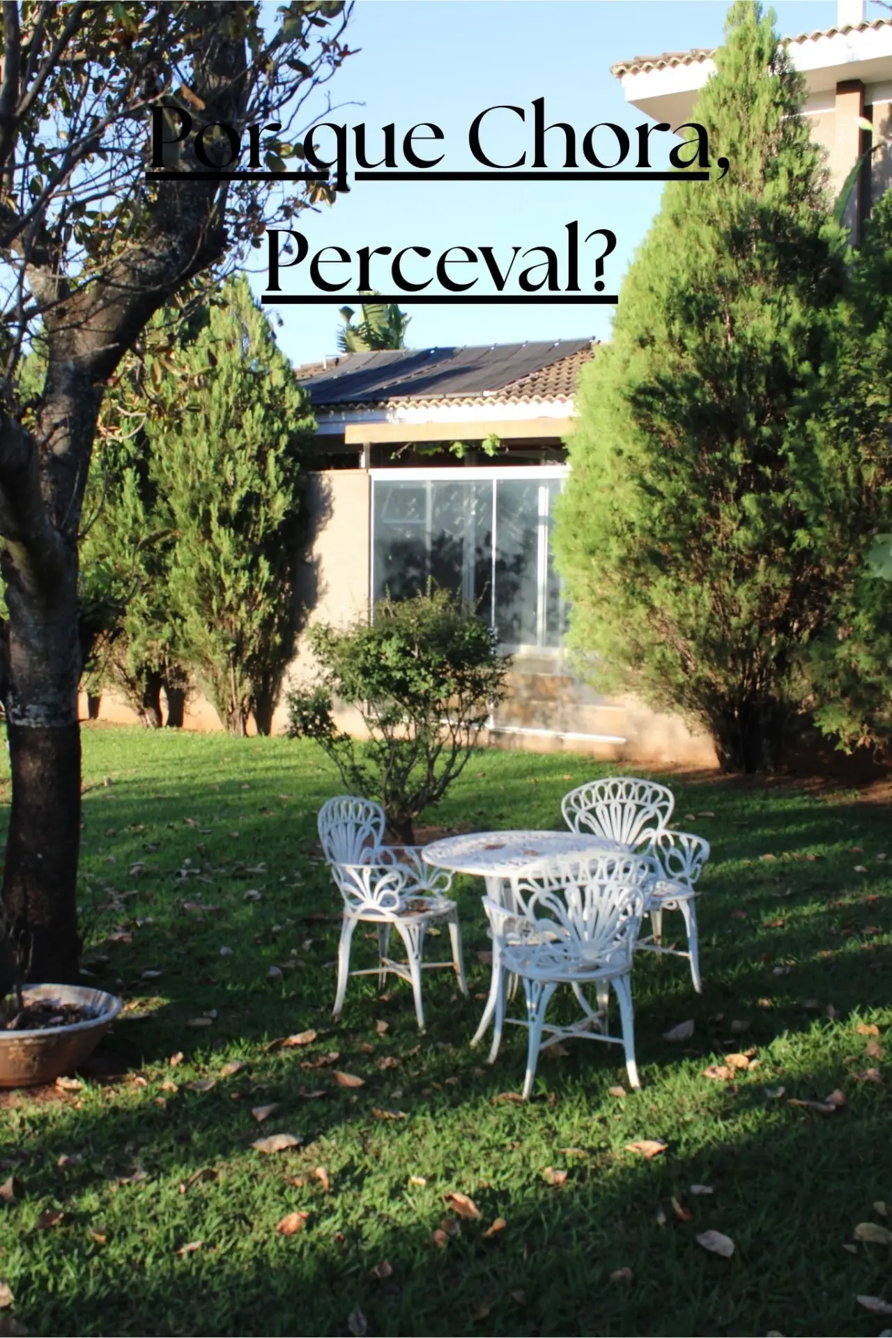 Постер до фільму "Por que Chora, Perceval?"