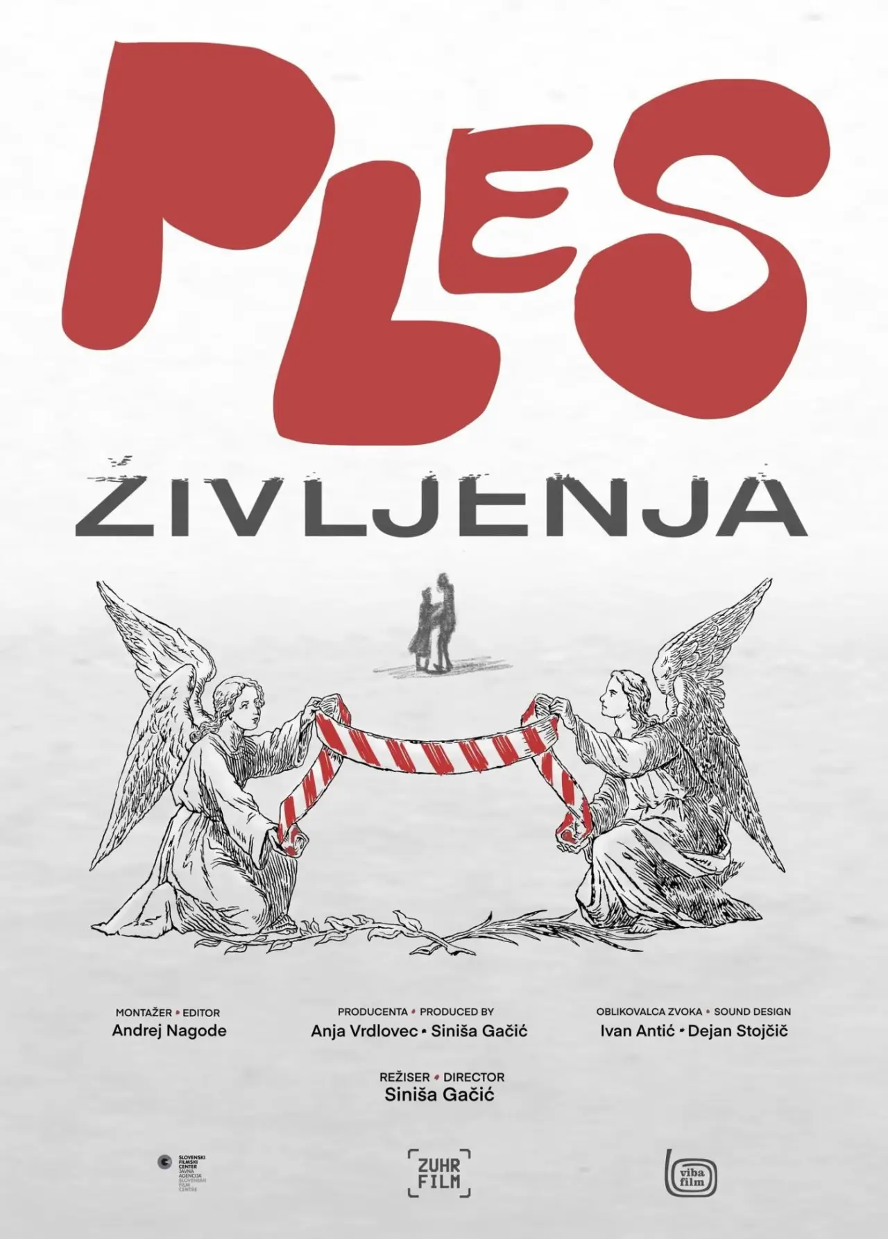 Постер до фільму "Ples življenja"