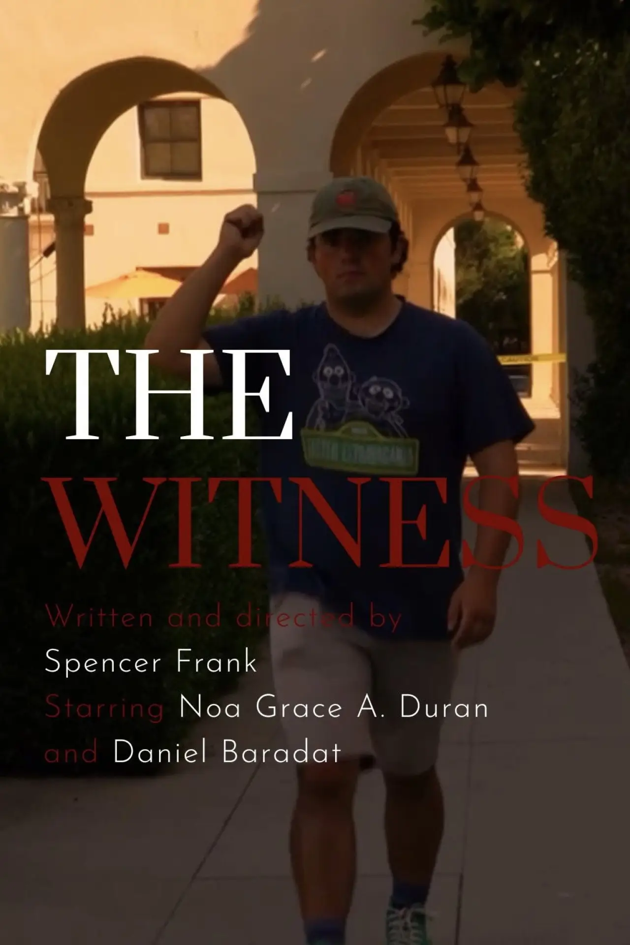 Постер до фільму "The Witness"