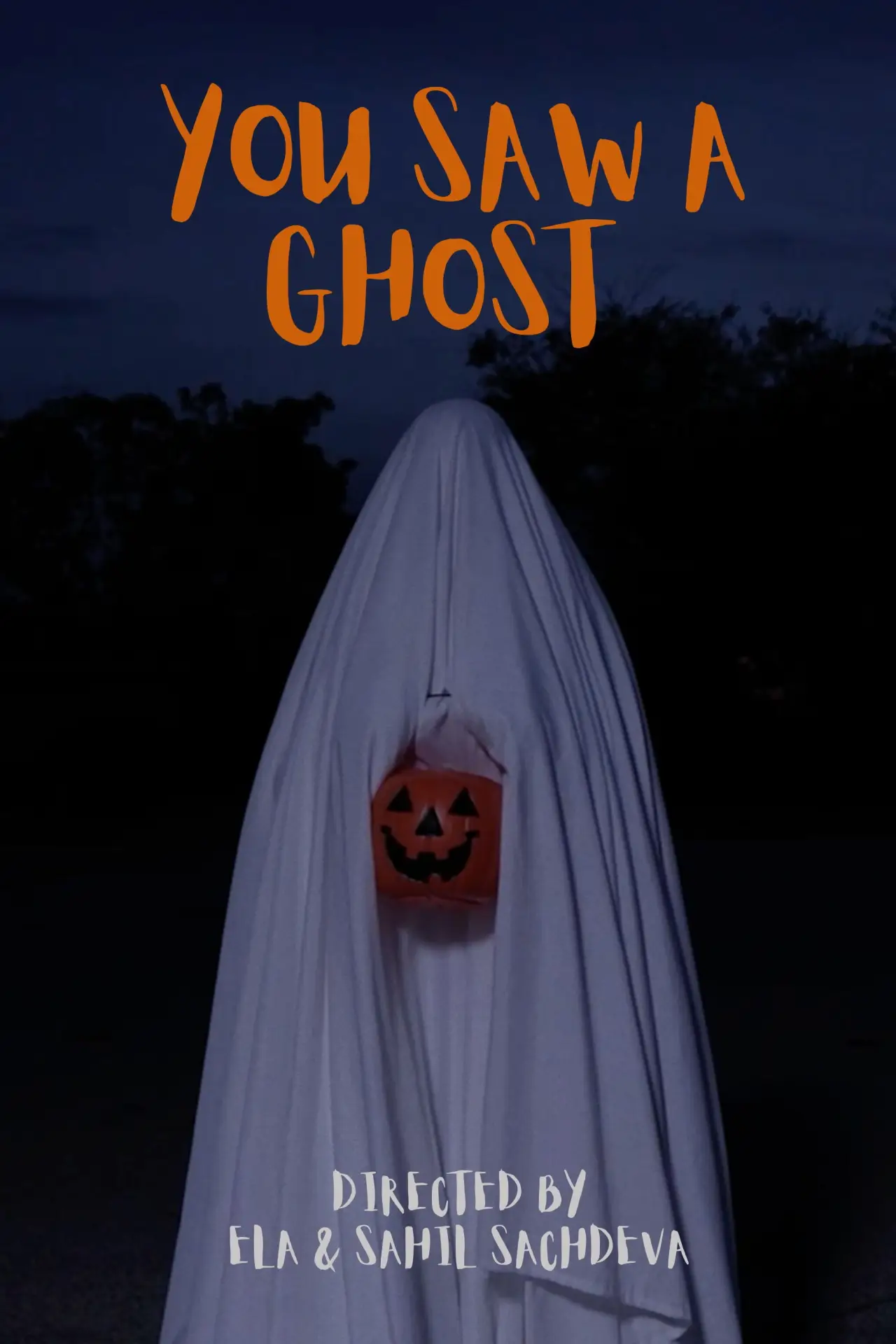 Постер до фільму "You Saw a Ghost"